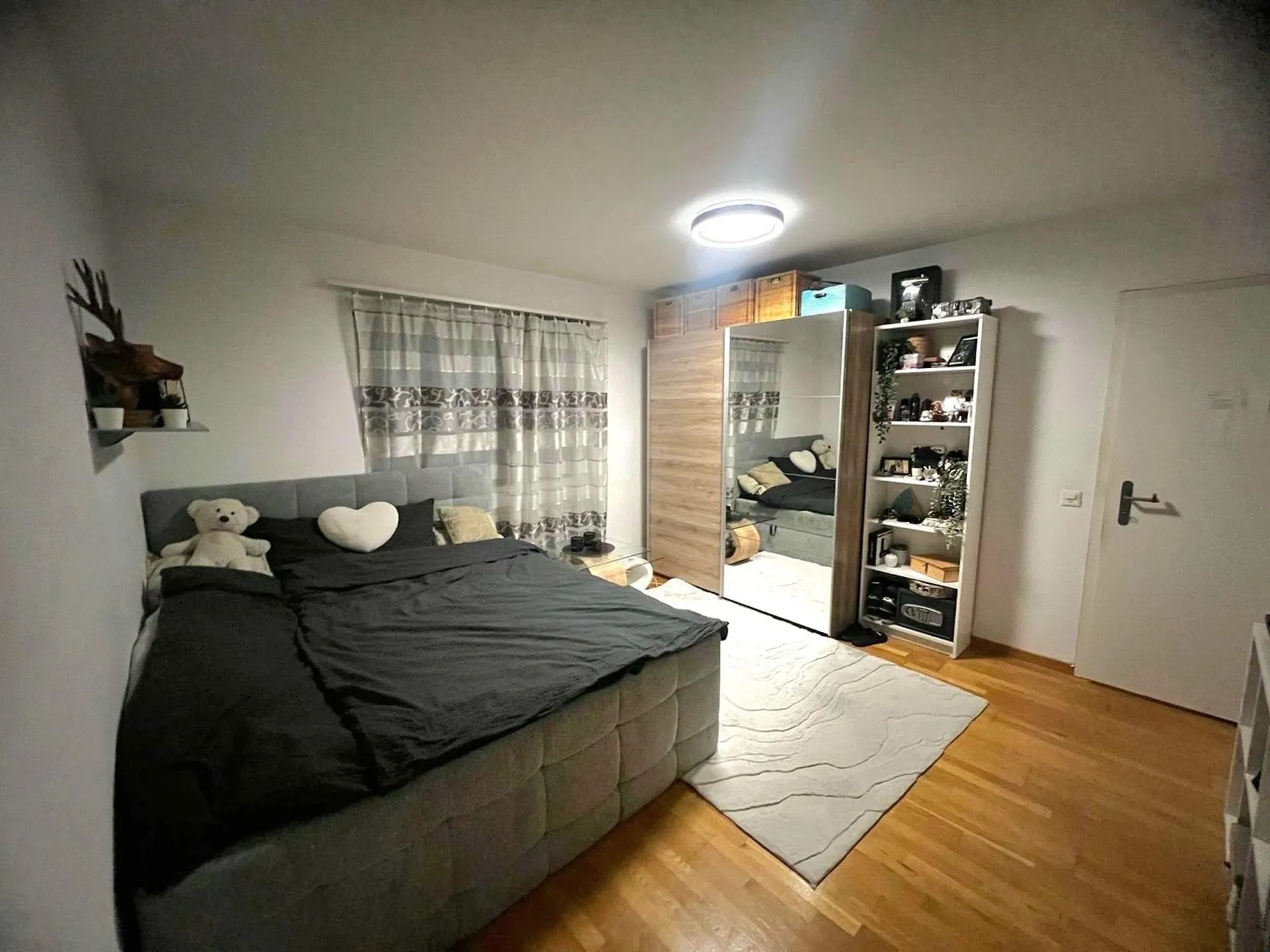 Image 6