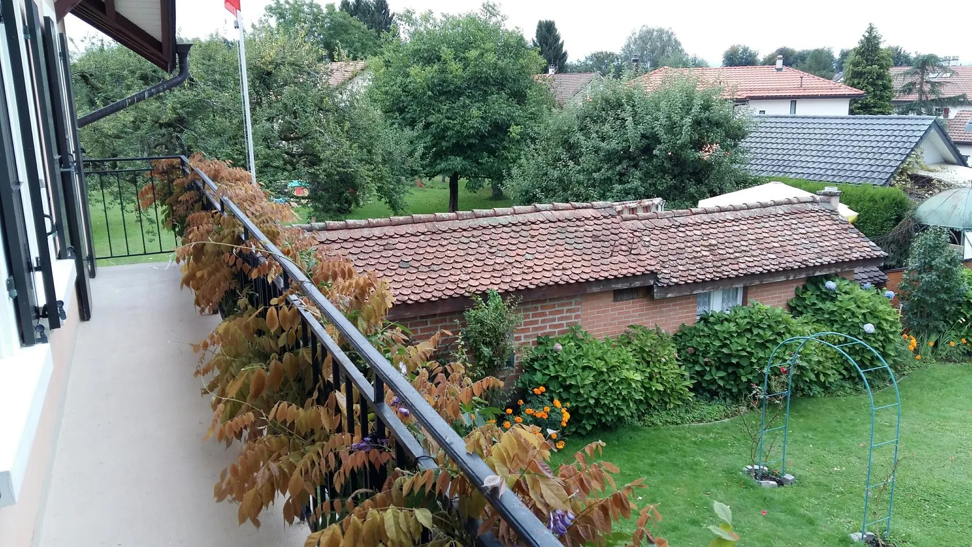Image 7