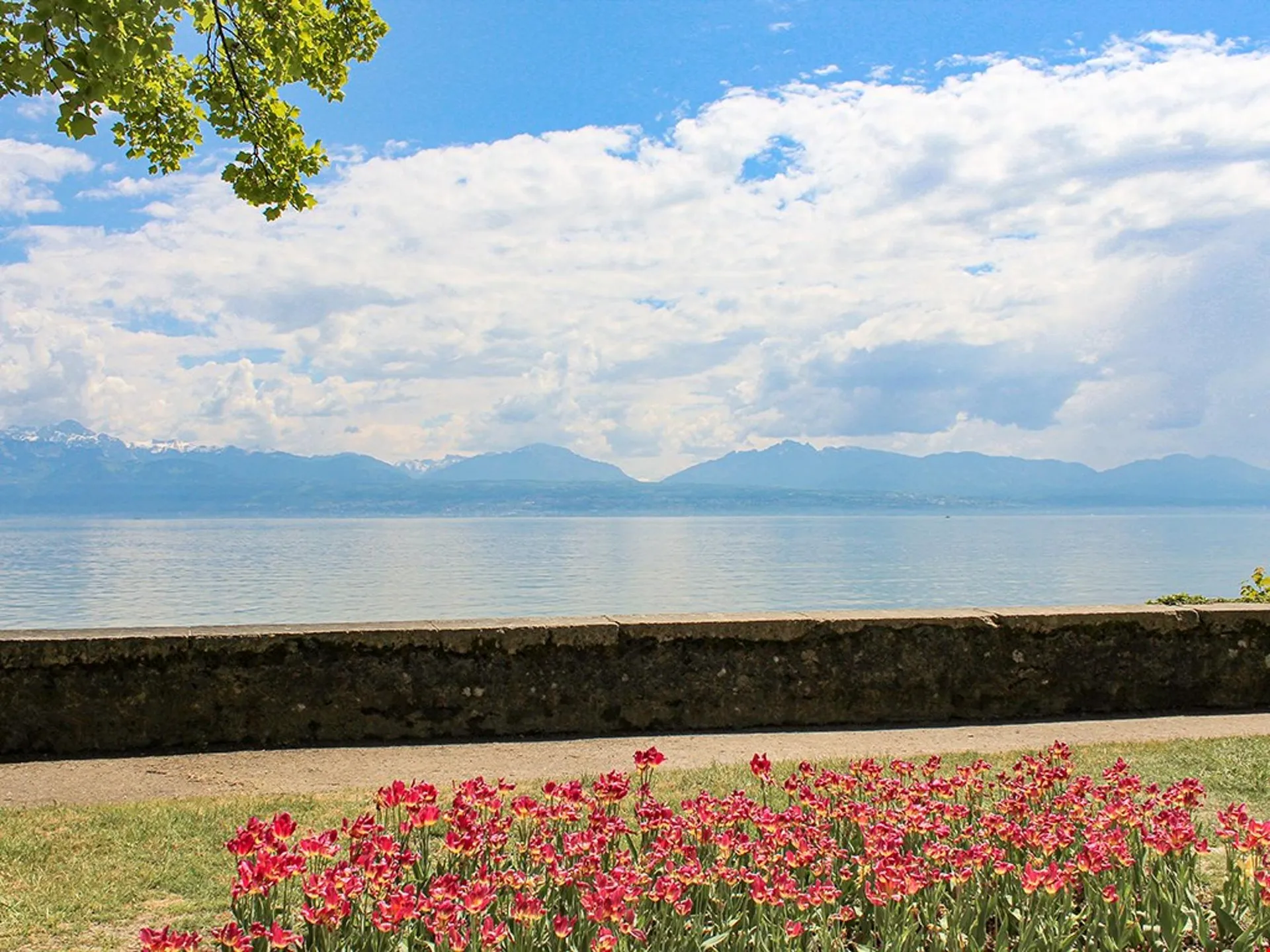 MORGES OUEST - BEAU DUPLEX - 5.5 PIECES