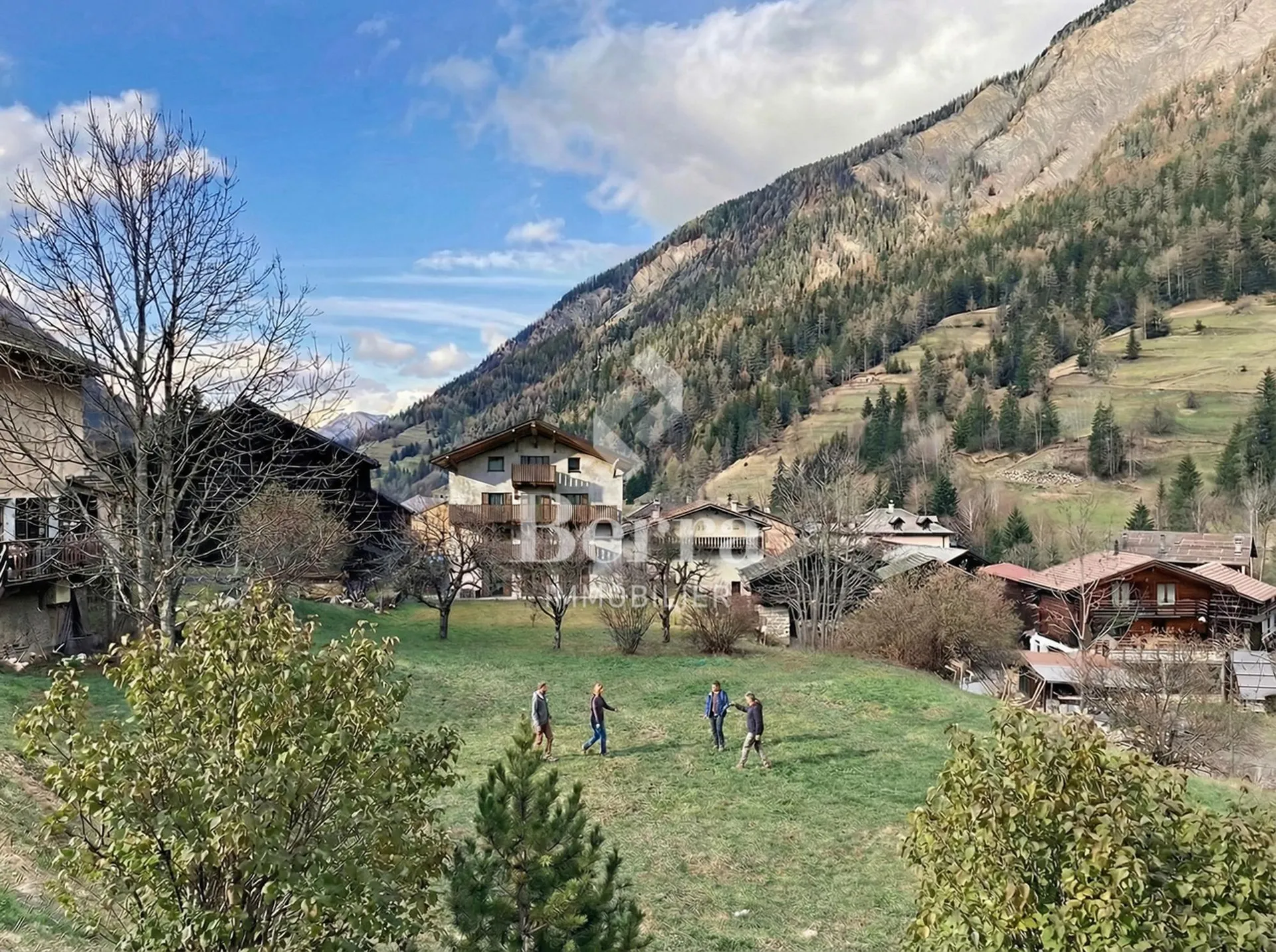 Image 10