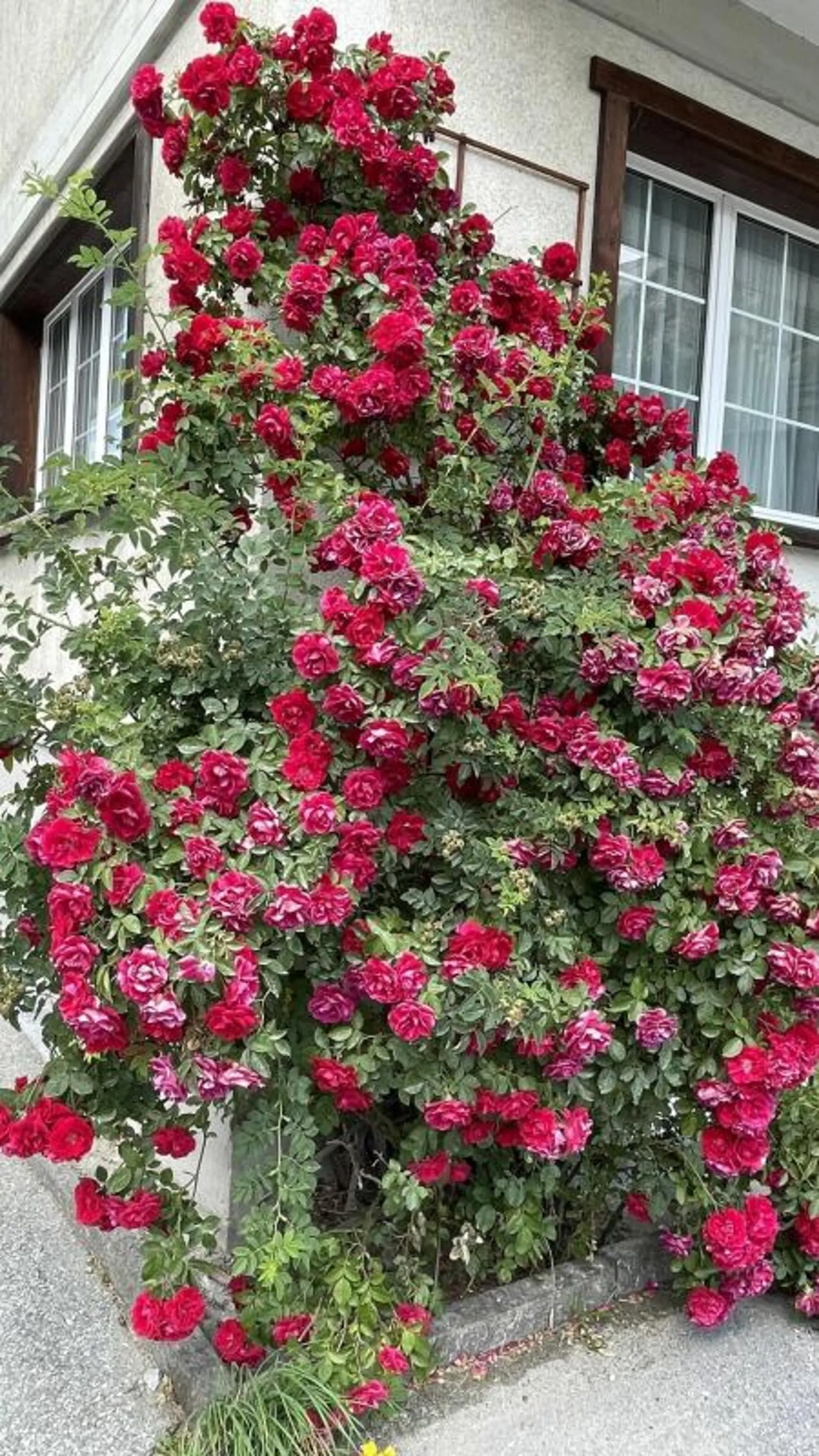 Image 18