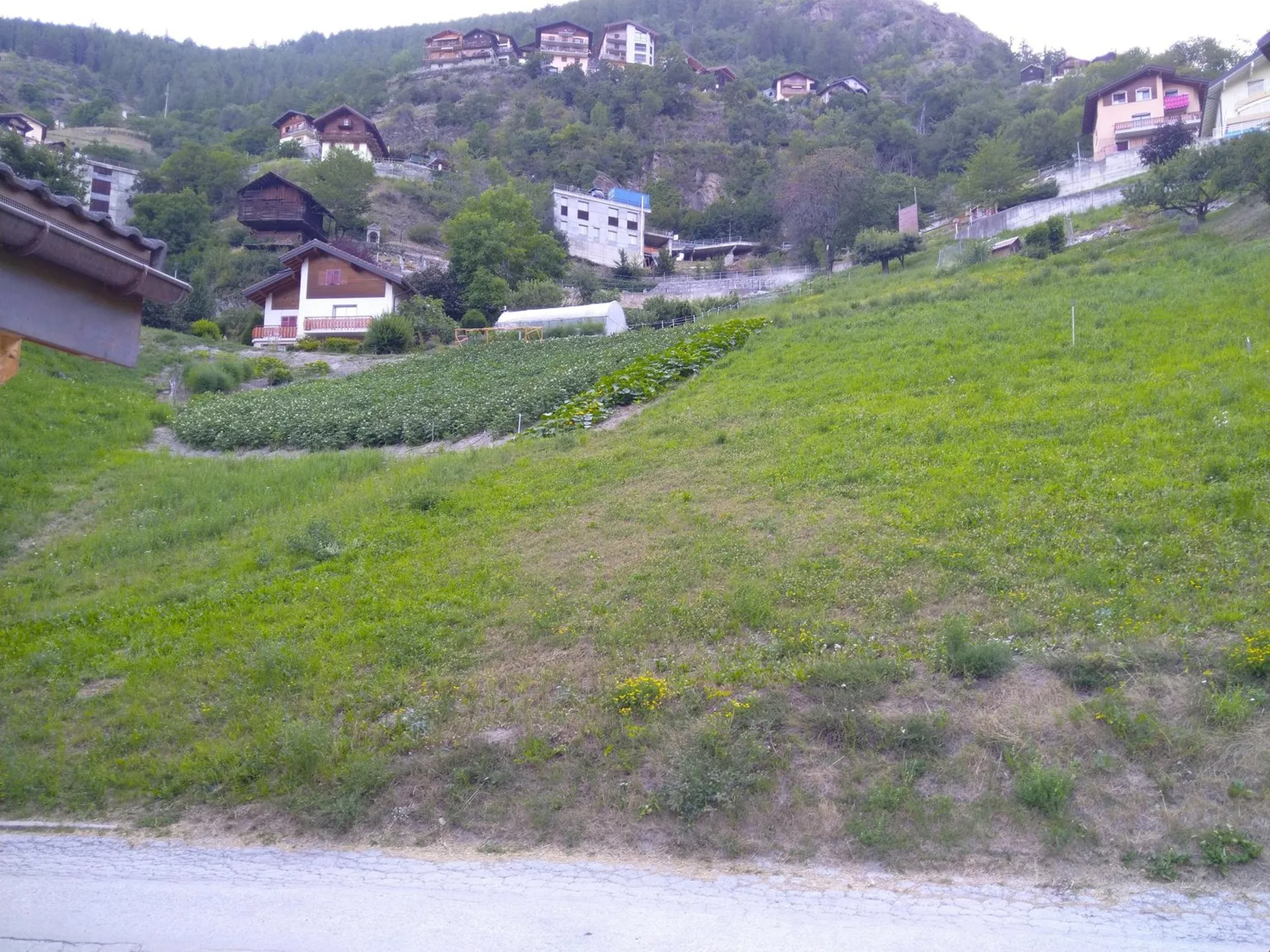 Bild 7