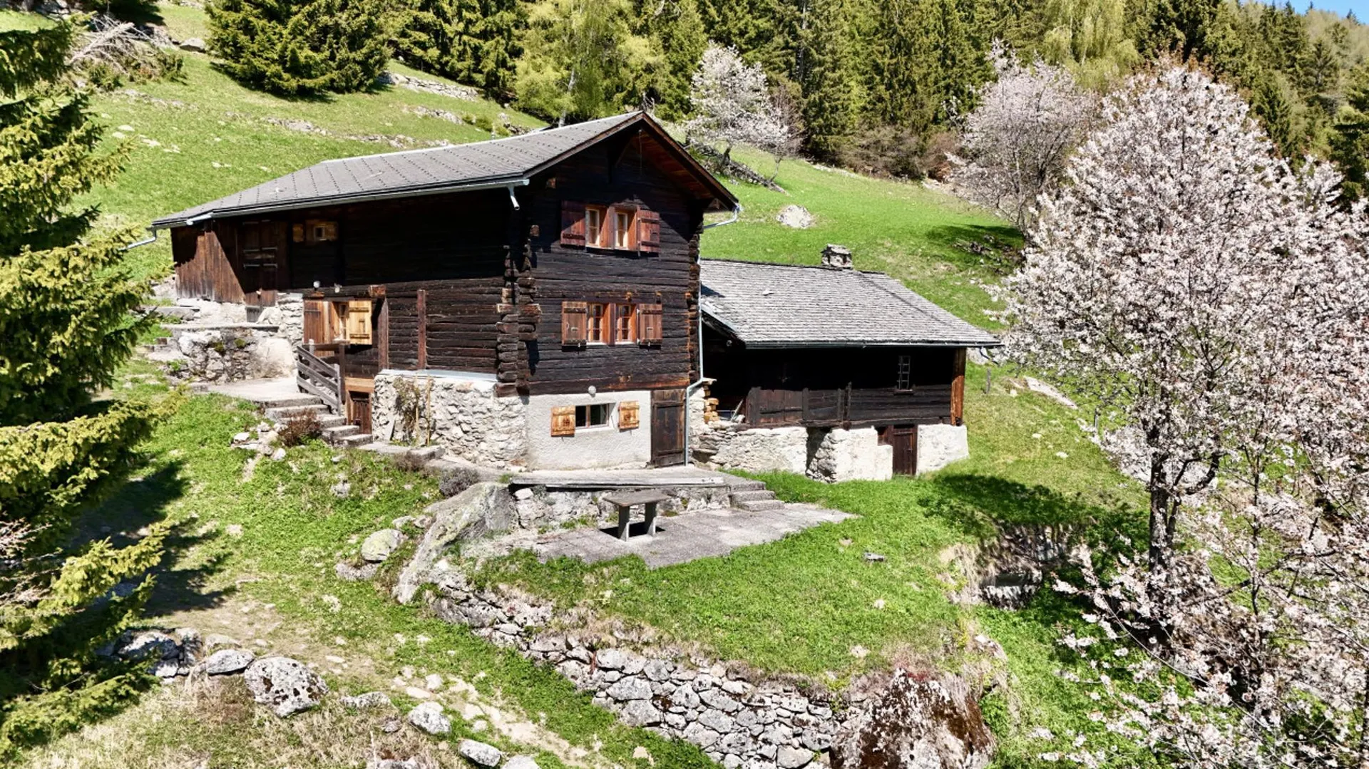 Véritable chalet coup de coeur  Havre de paix face aux montagnes