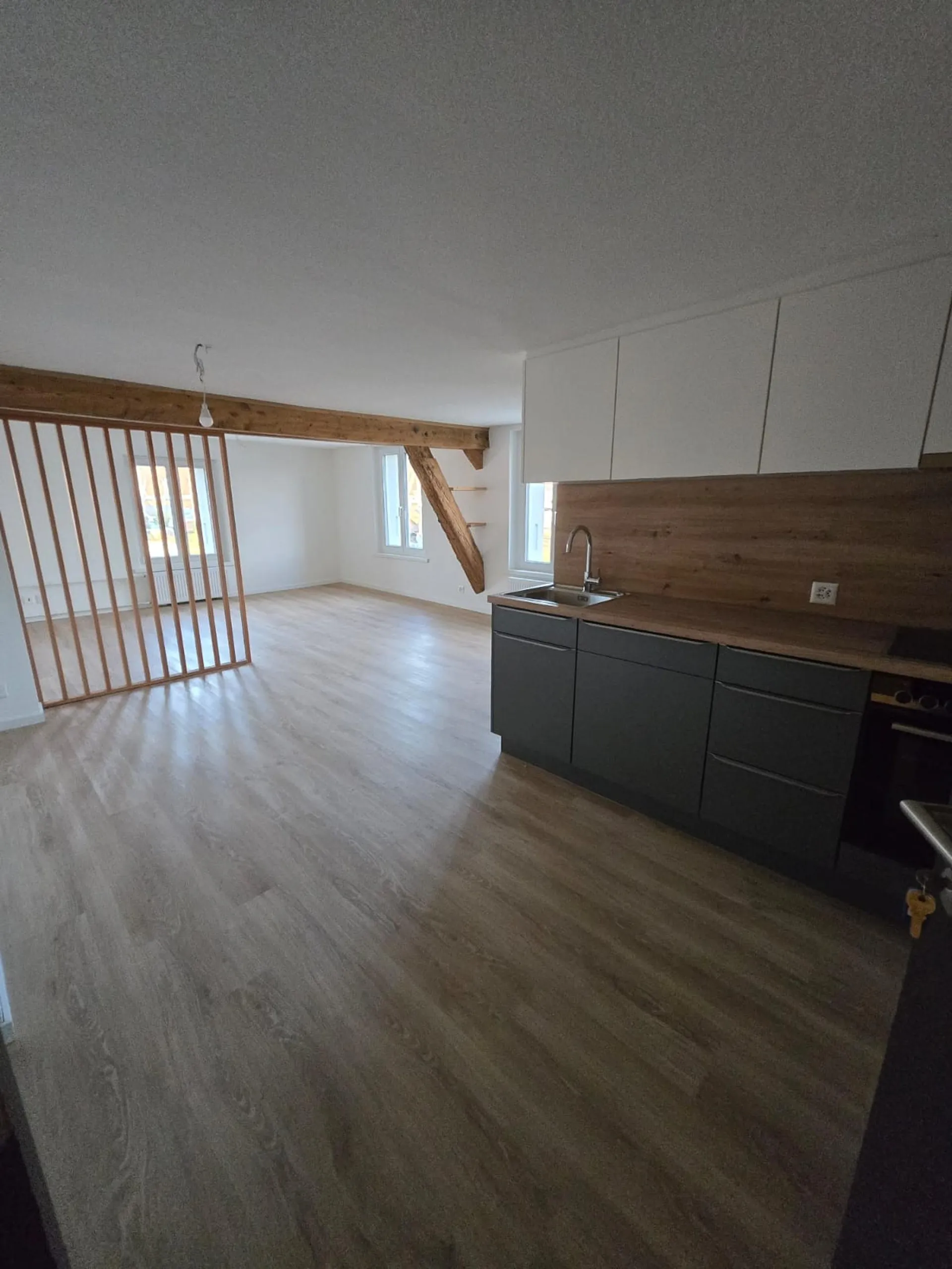 Magnifique LOFT rénové en 1ère location à Porrentruy
