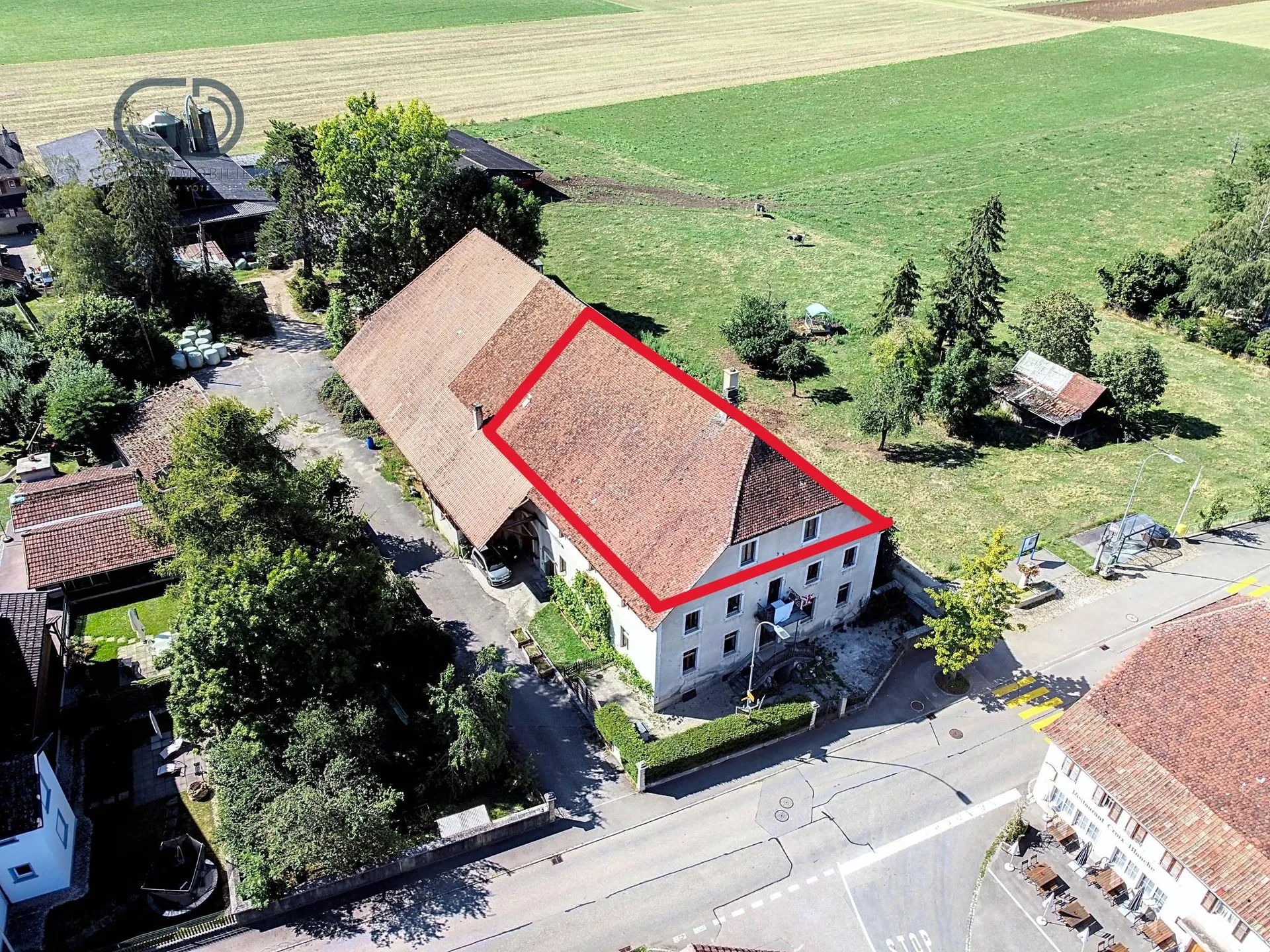 Image 6