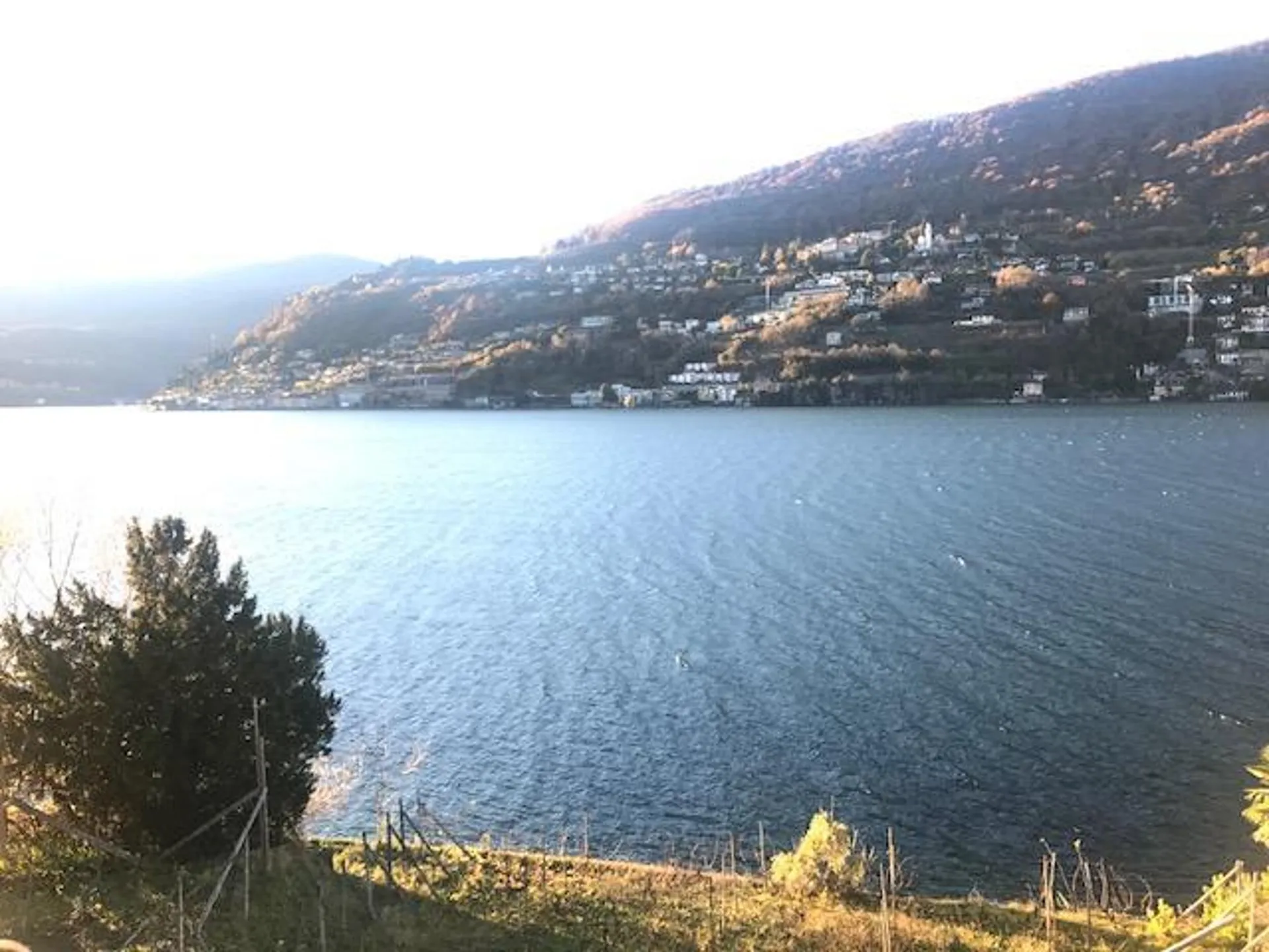 Immagine 2