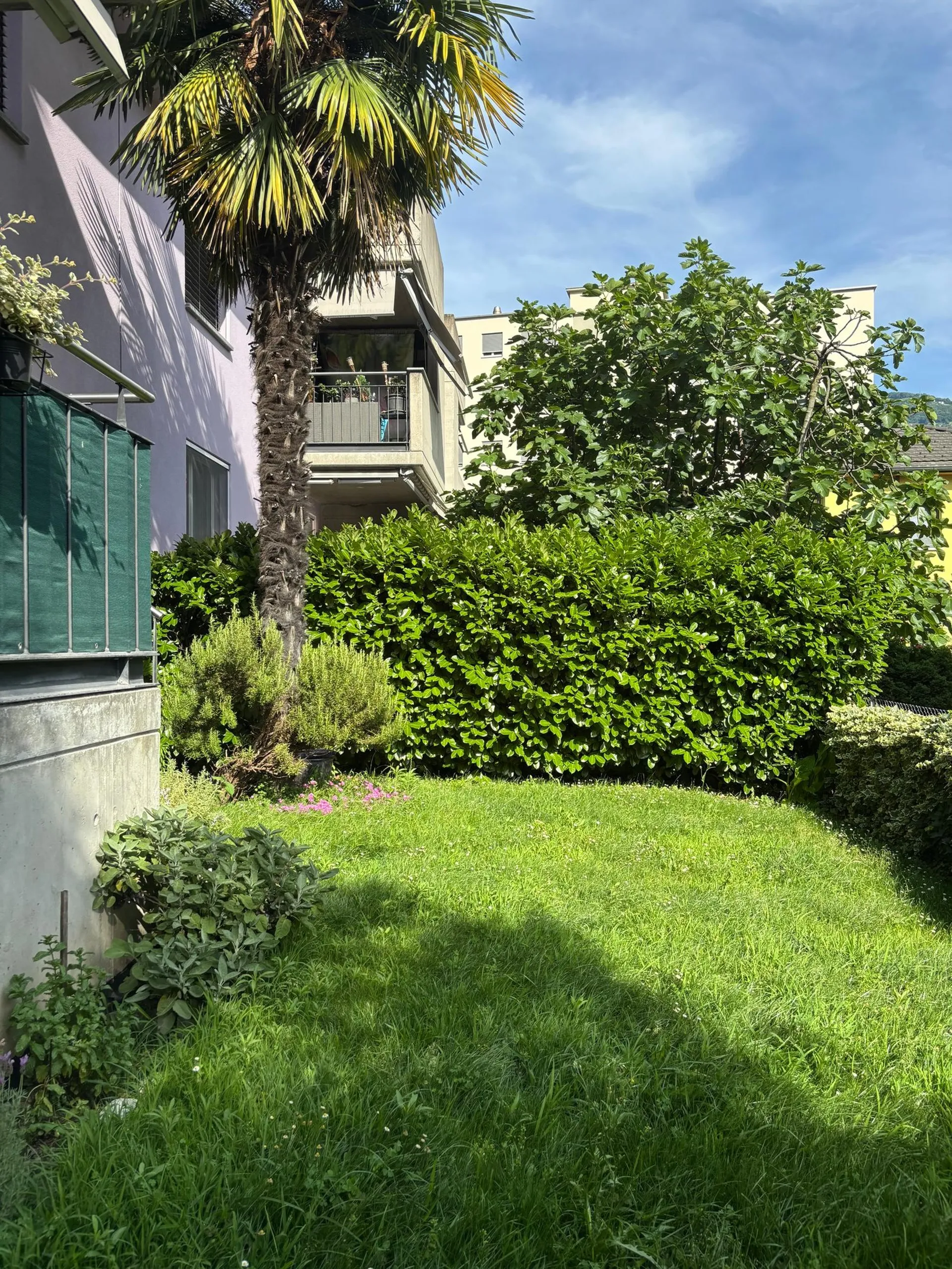 Splendido 4.5 locali con terrazza e giardino a Bellinzona
