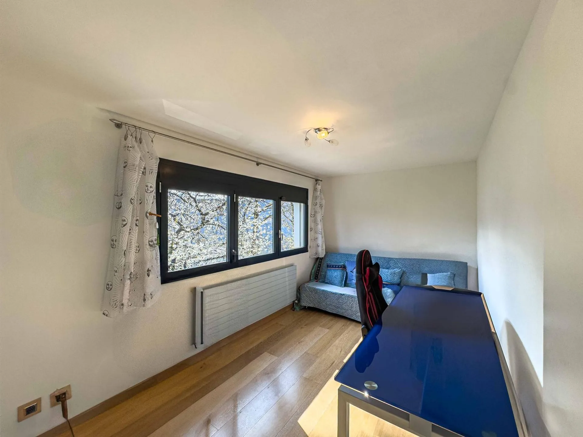 Bild 12