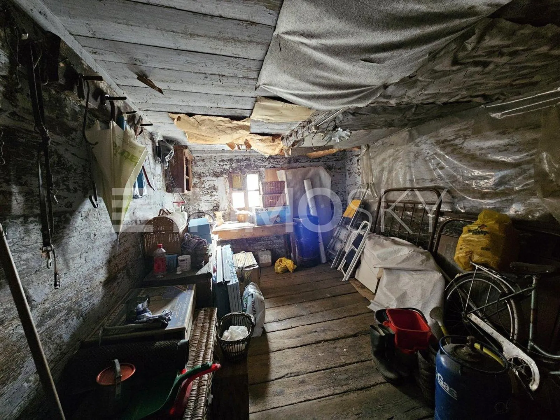 Image 6