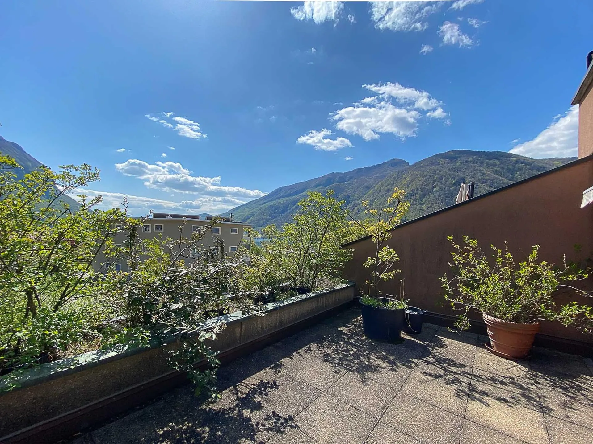 Bild 15