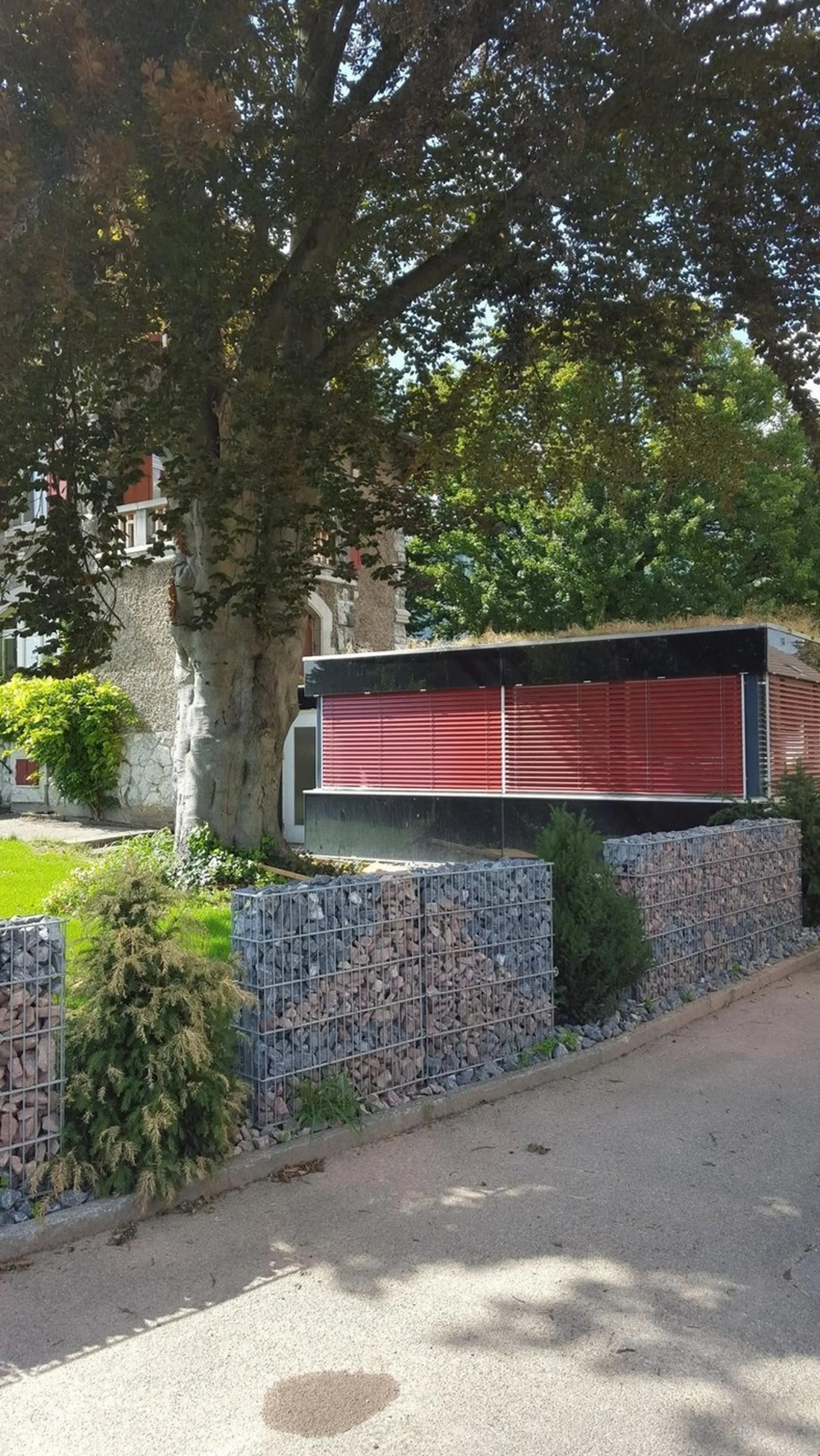 Nachmieter für 1-Zimmer-Studio (50m2) gesucht