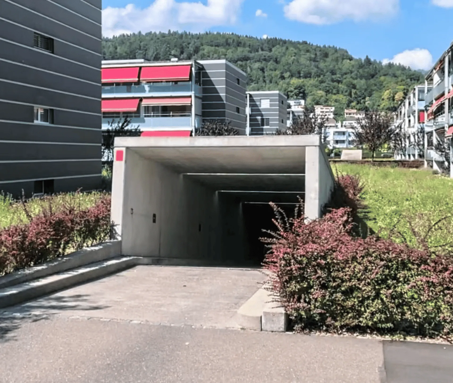 Image 6