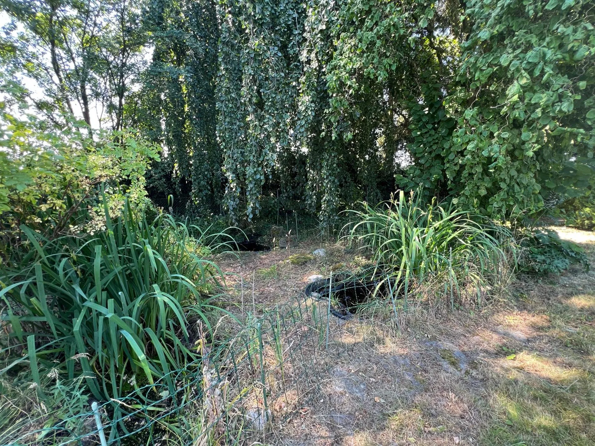 Image 24