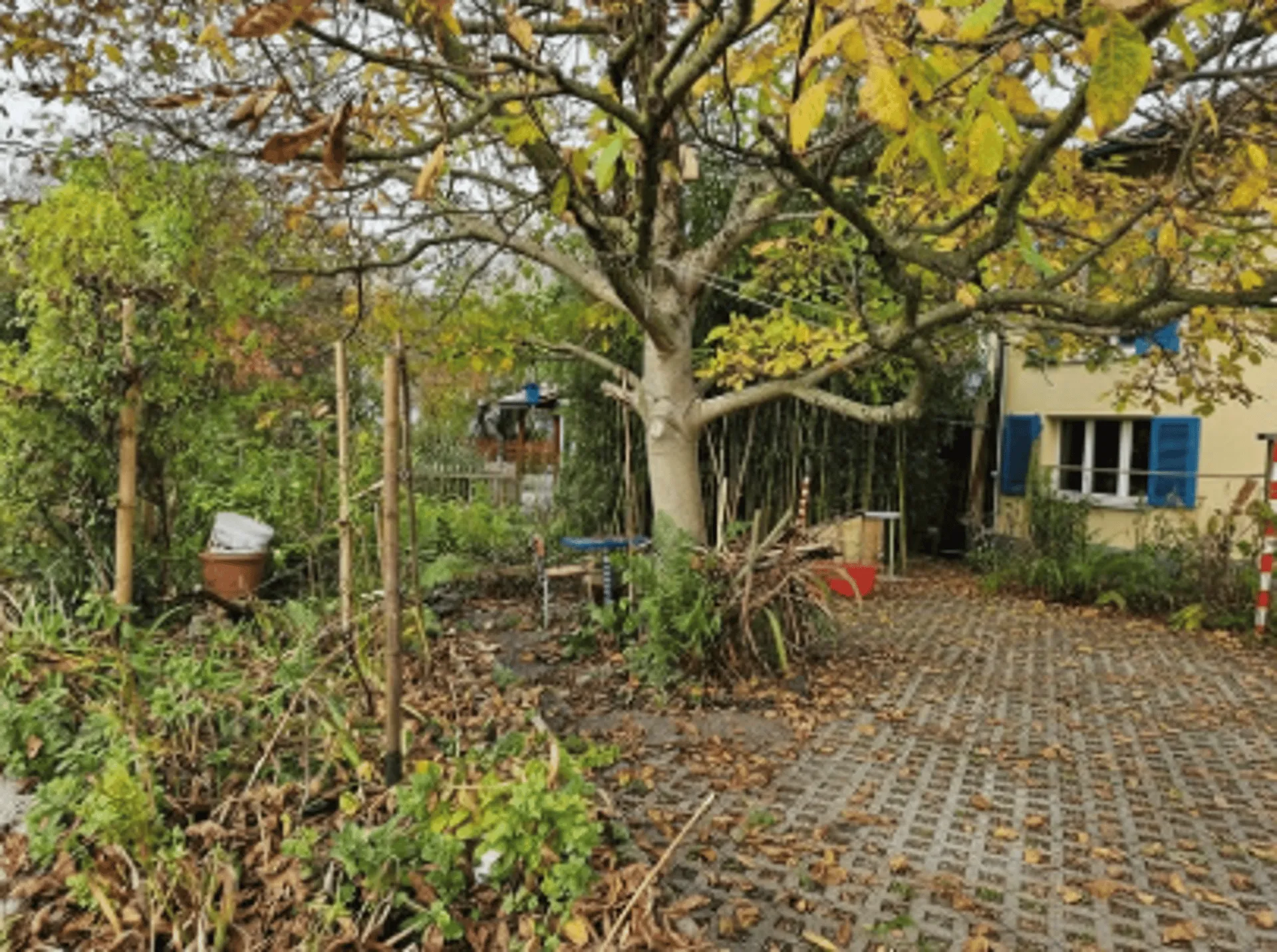 Image 12