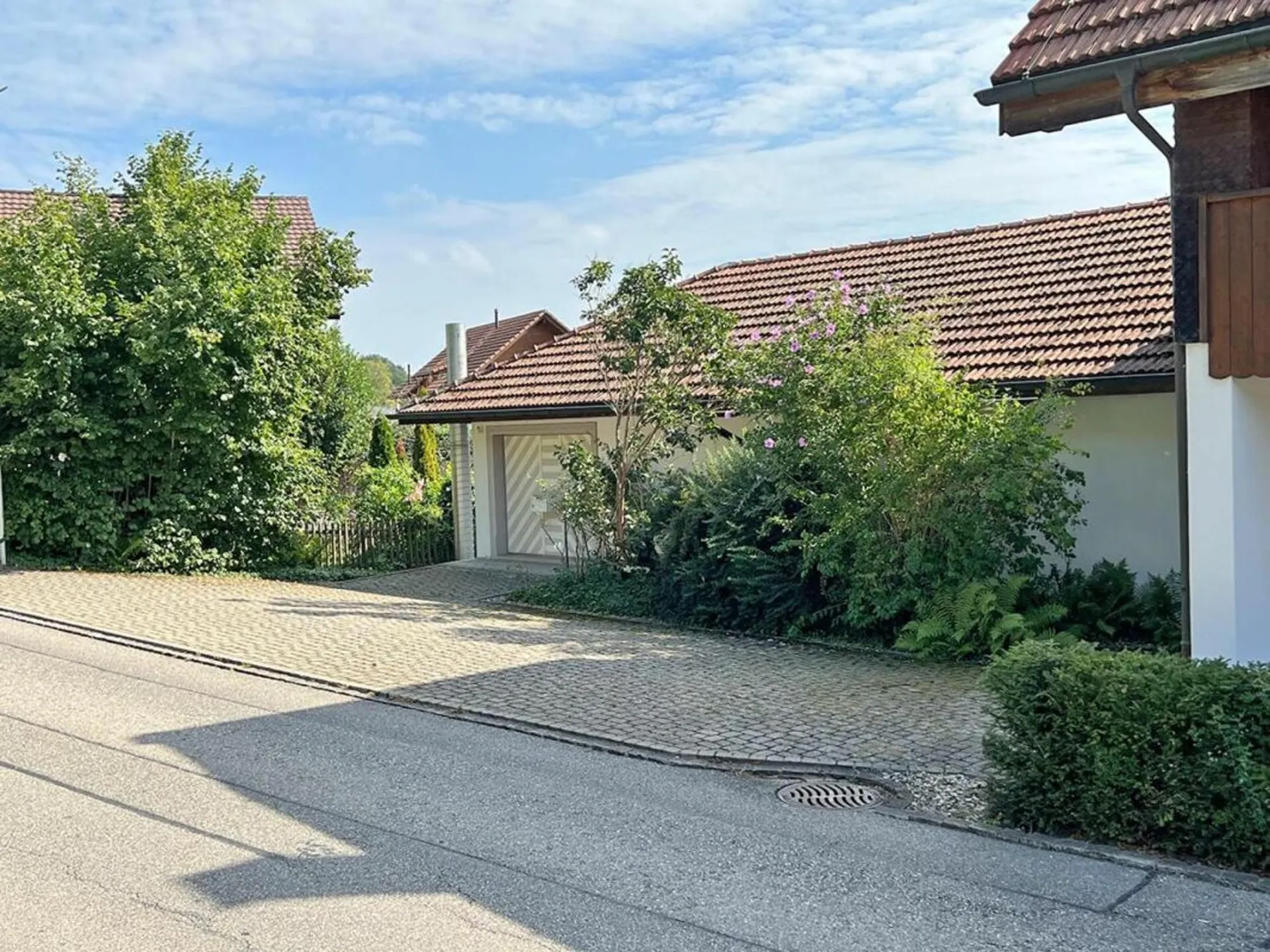 Image 13