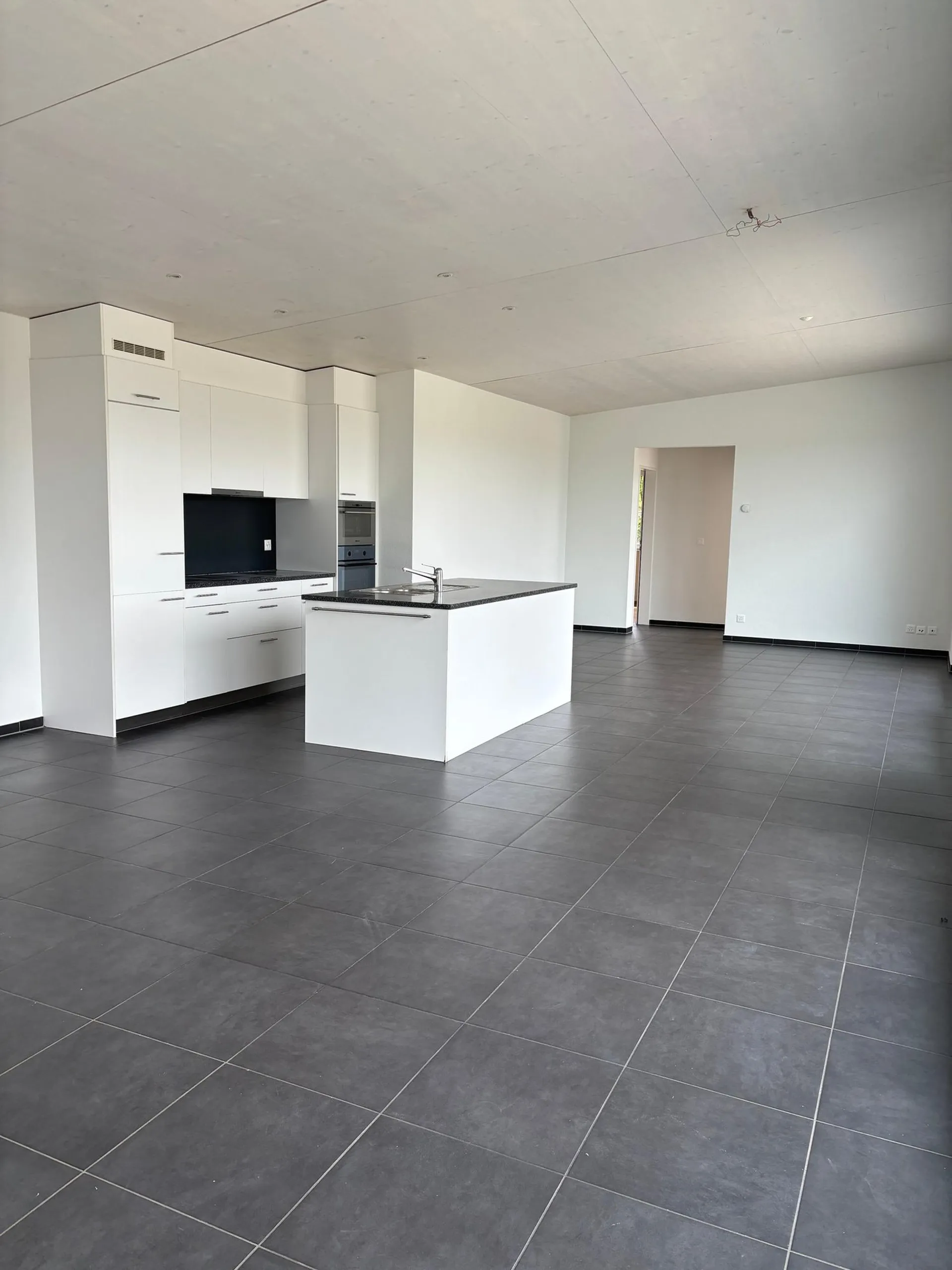 Attraktive 5.5-Zimmer-Attikawohnung in Dornach – ruhig gelegen mit viel Platz und Licht