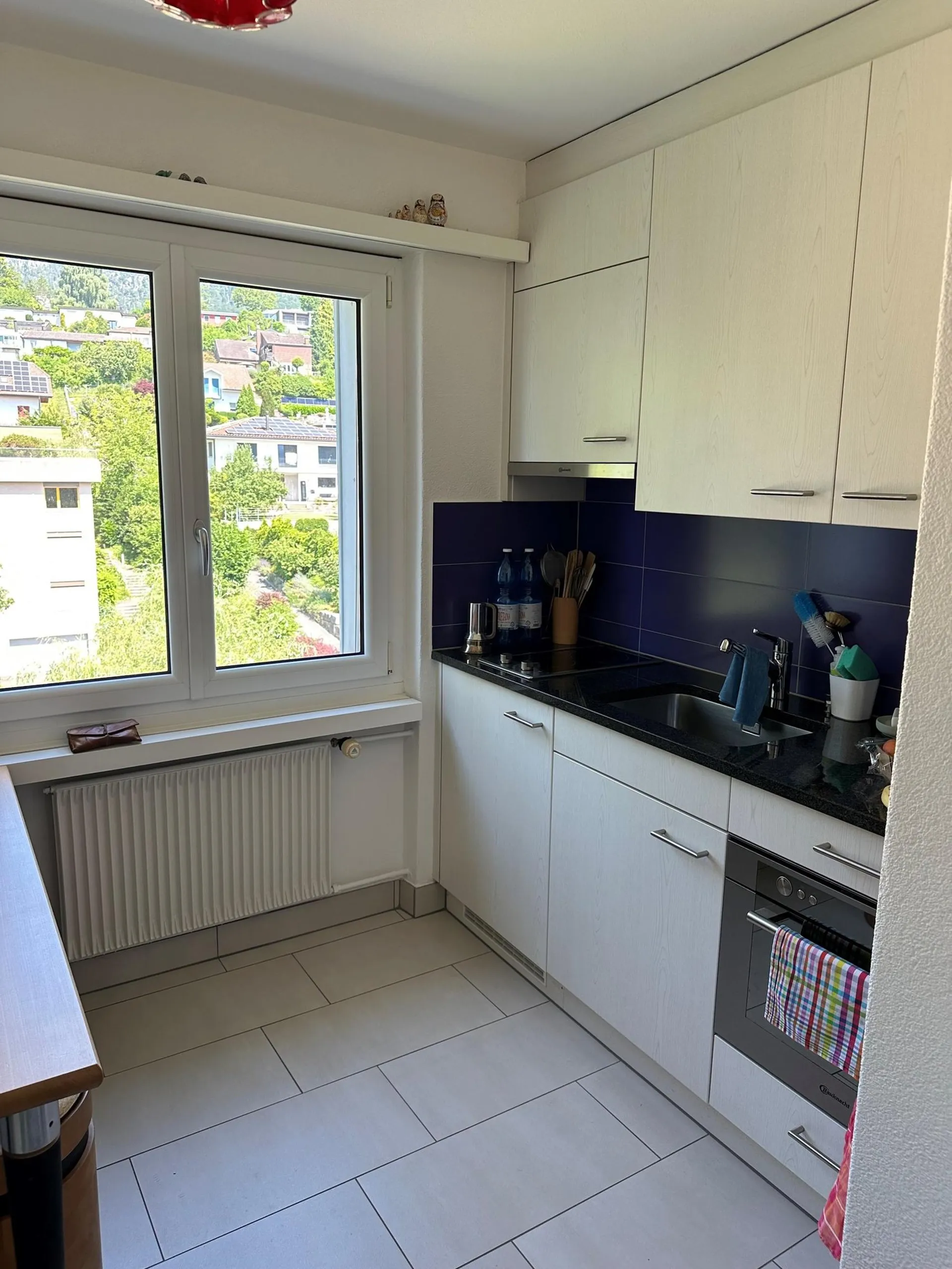 Gemütliches Studio-Apartment in Rüttenen