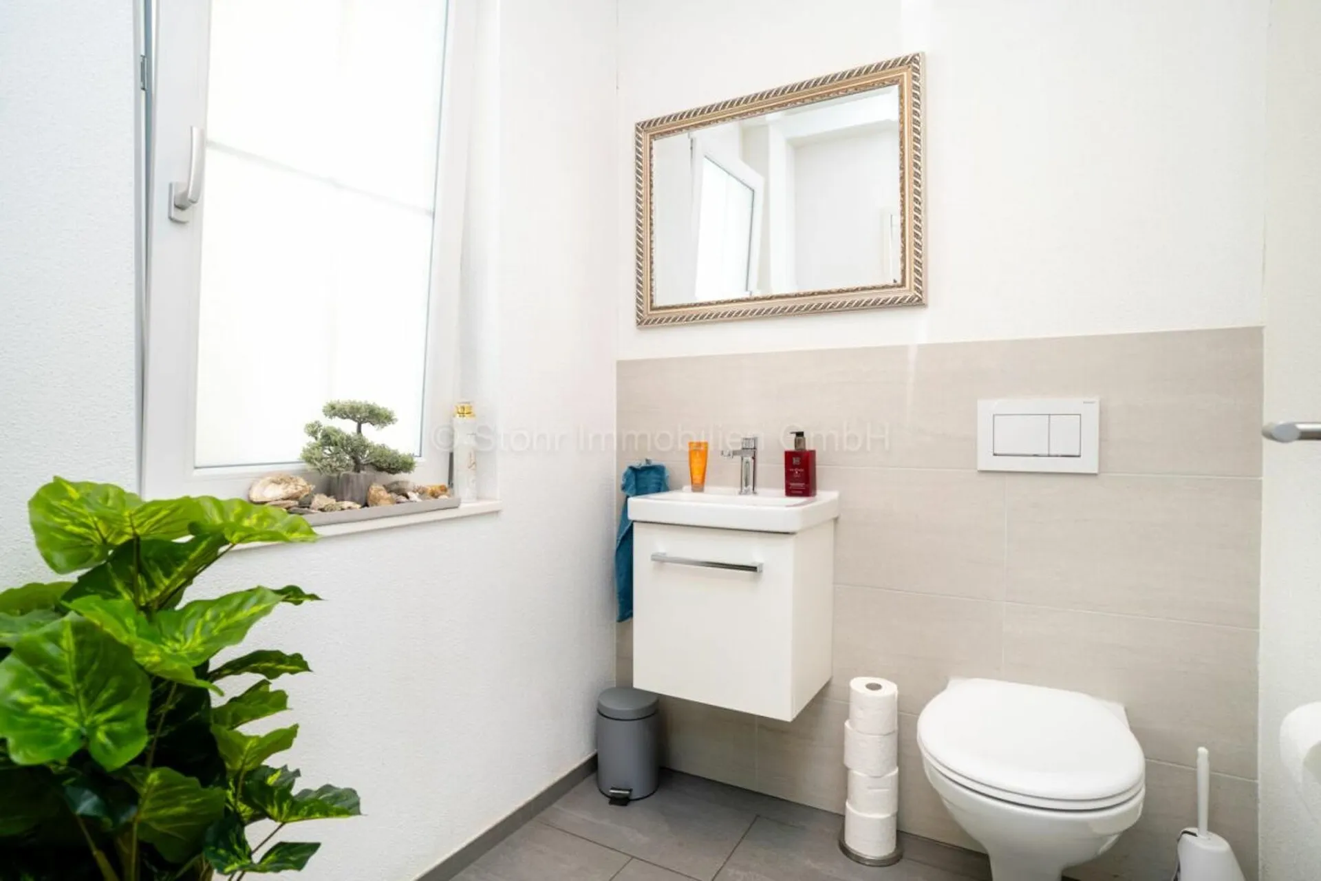 Bild 8