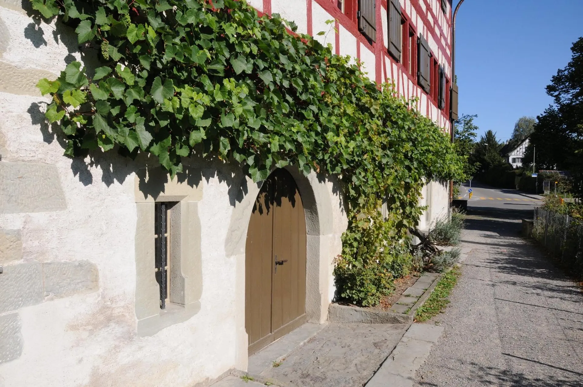 Image 10