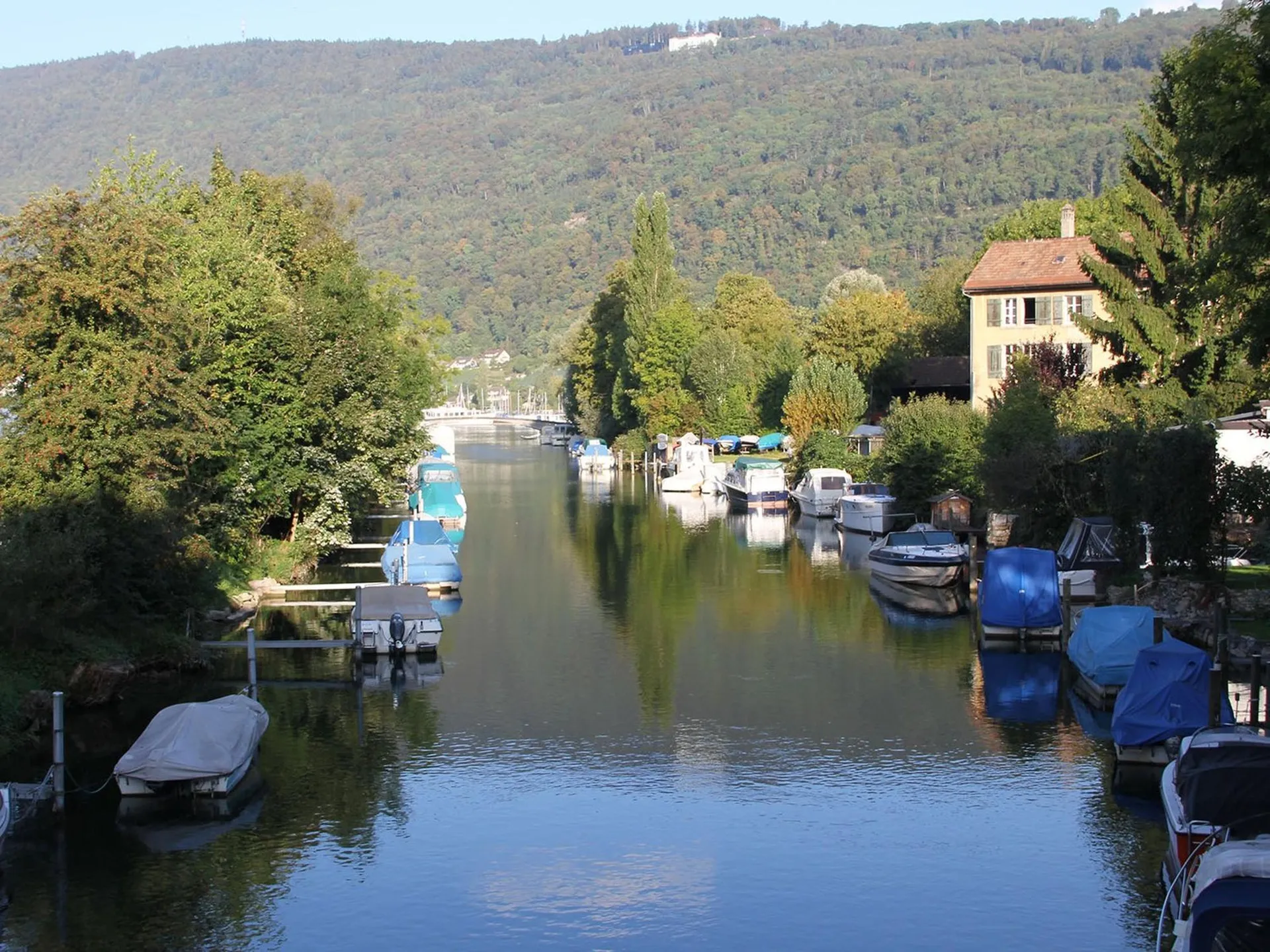 Image 11