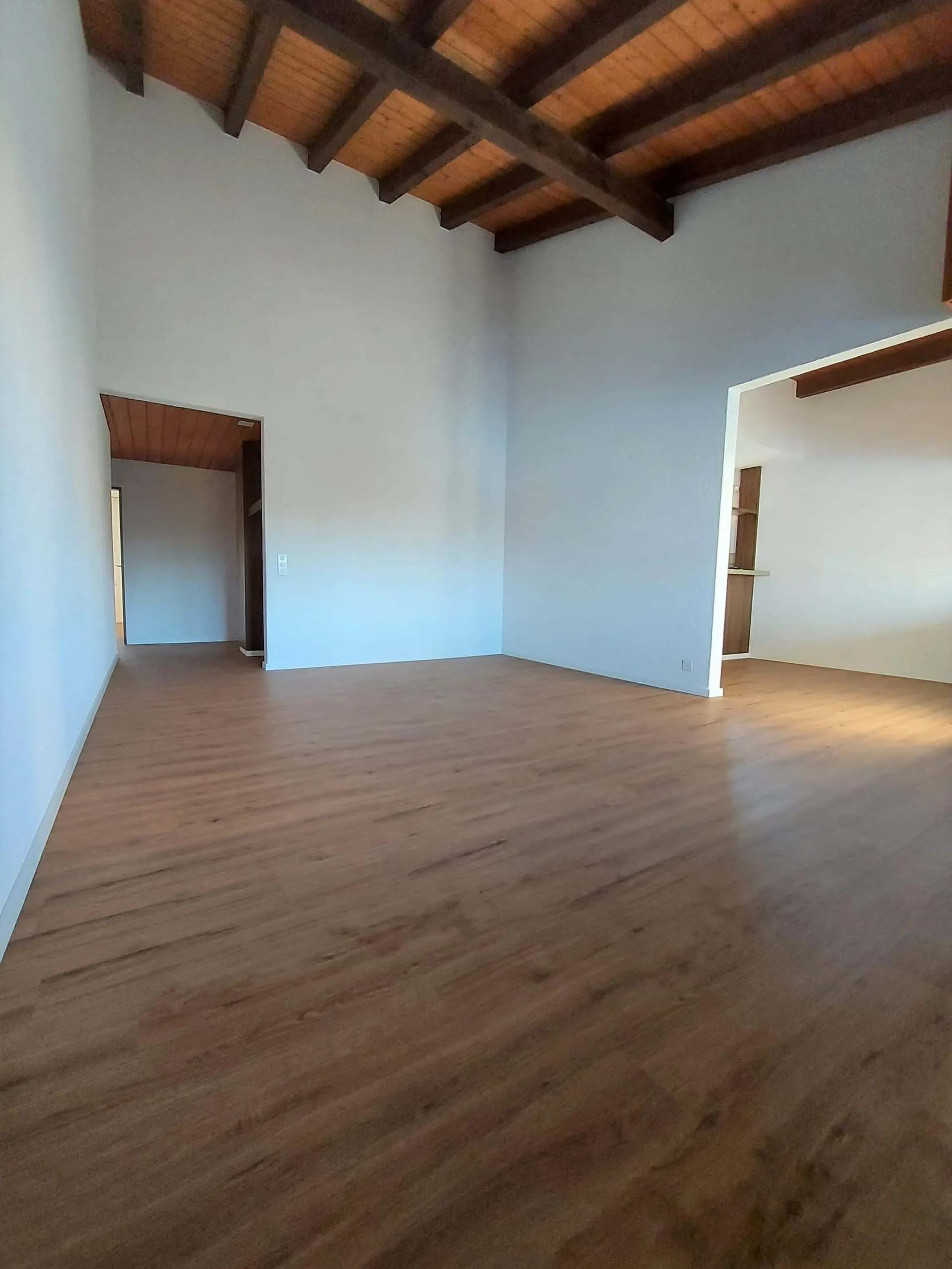 4.5 Zimmerwohnung im 2. OG mit grossem Balkon