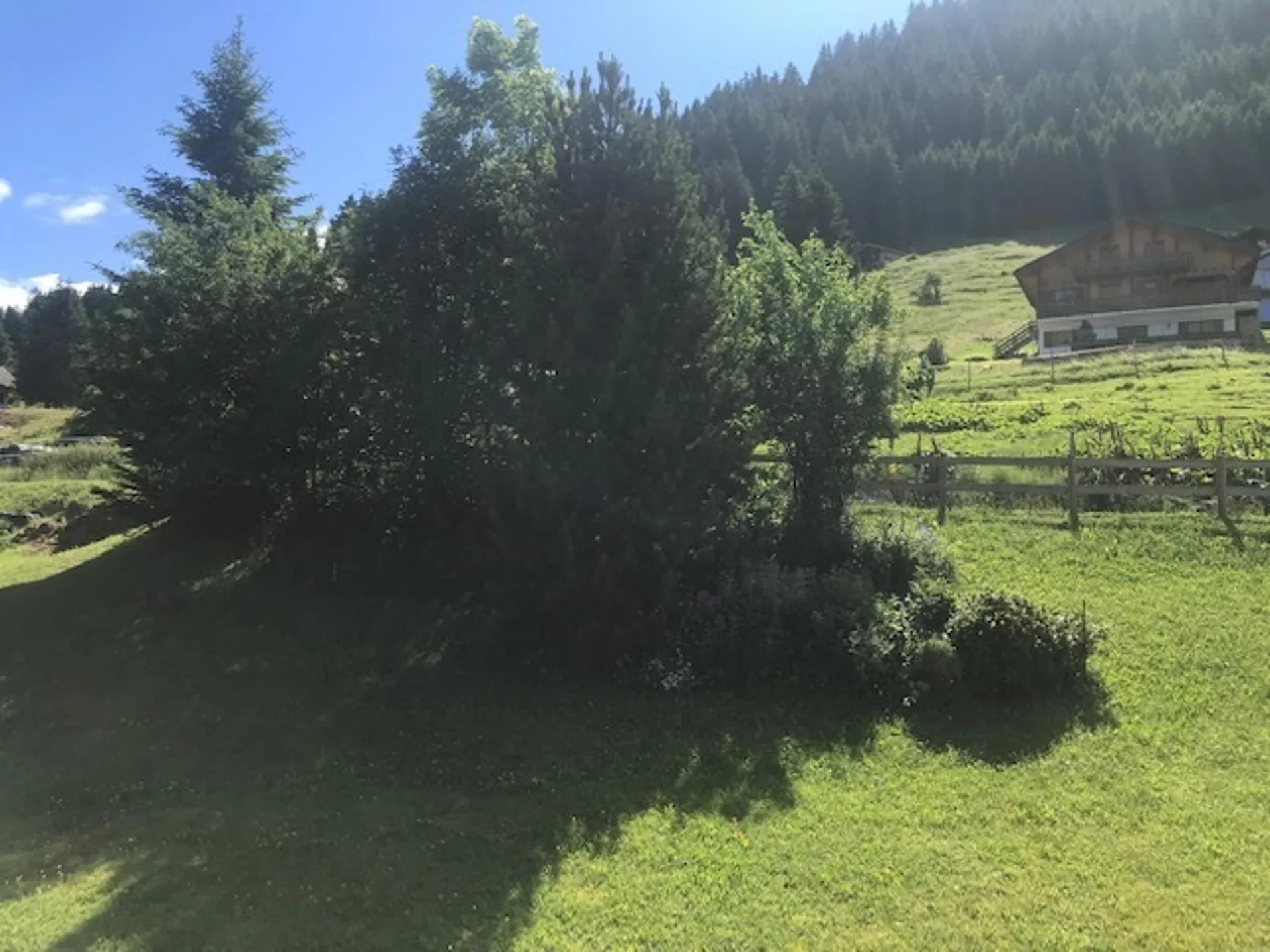 Bild 12