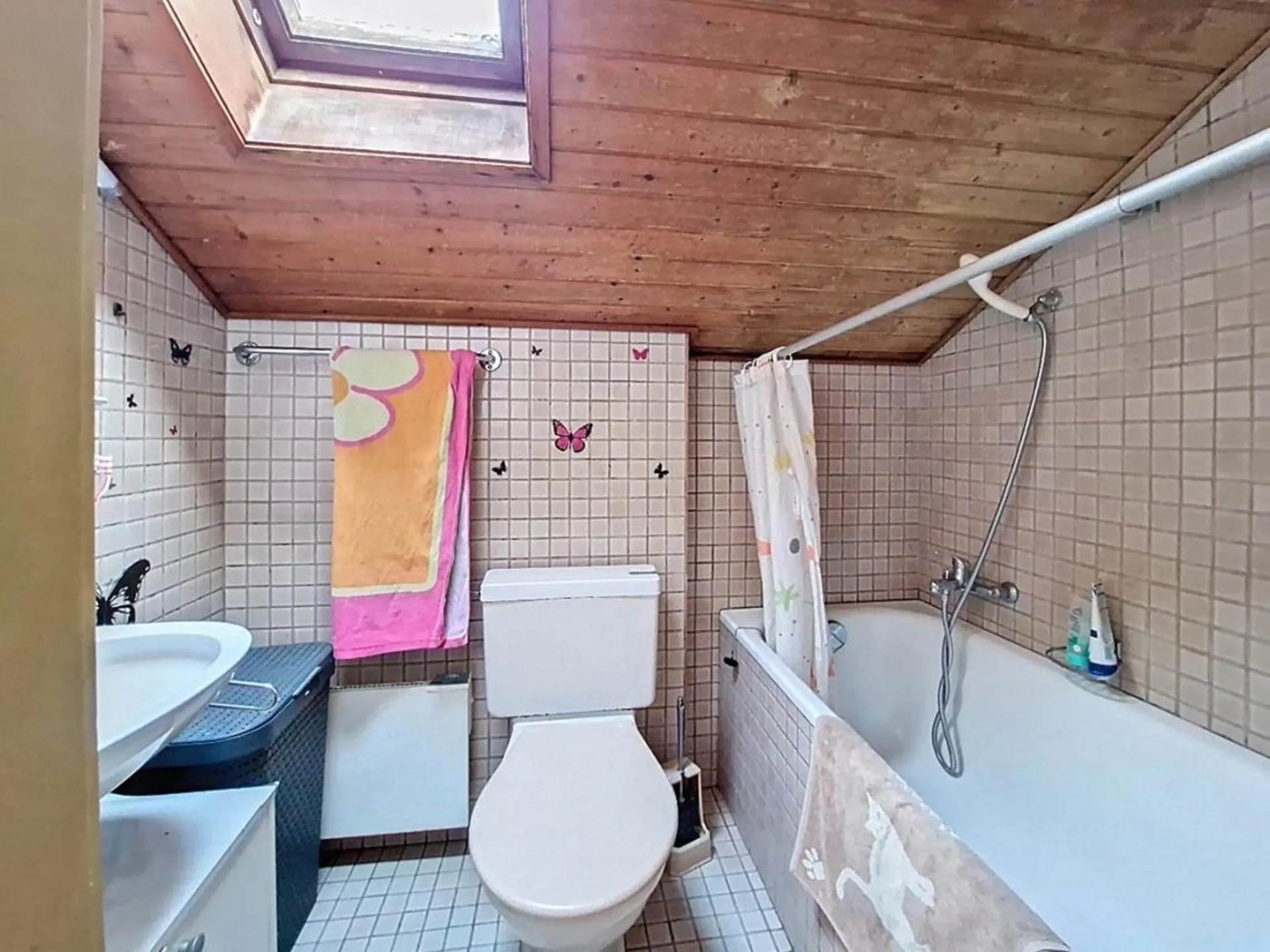 Bild 16