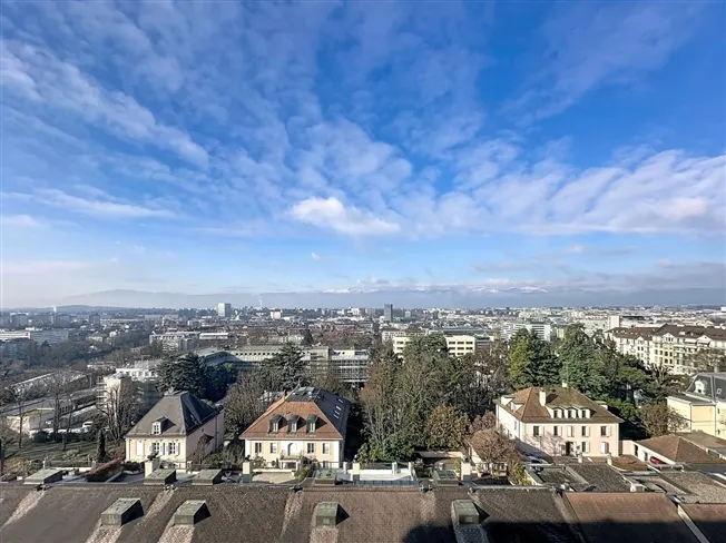 Außergewöhnliche Wohnung in Champel