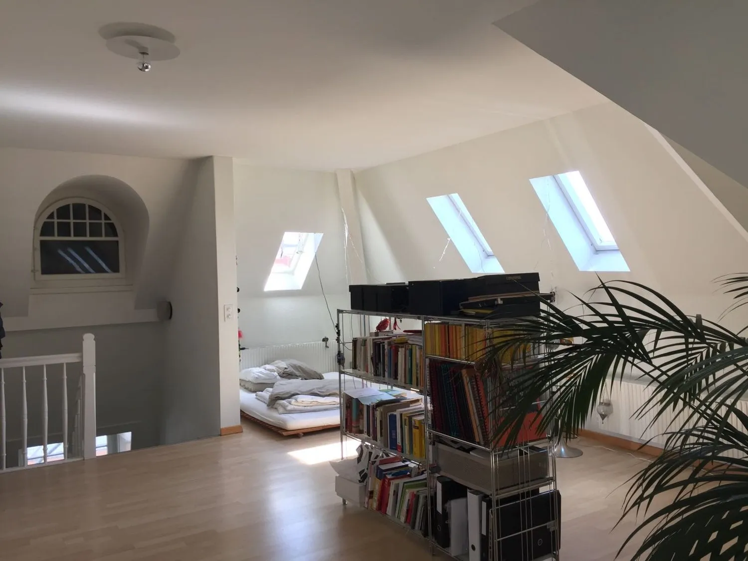 Image 12