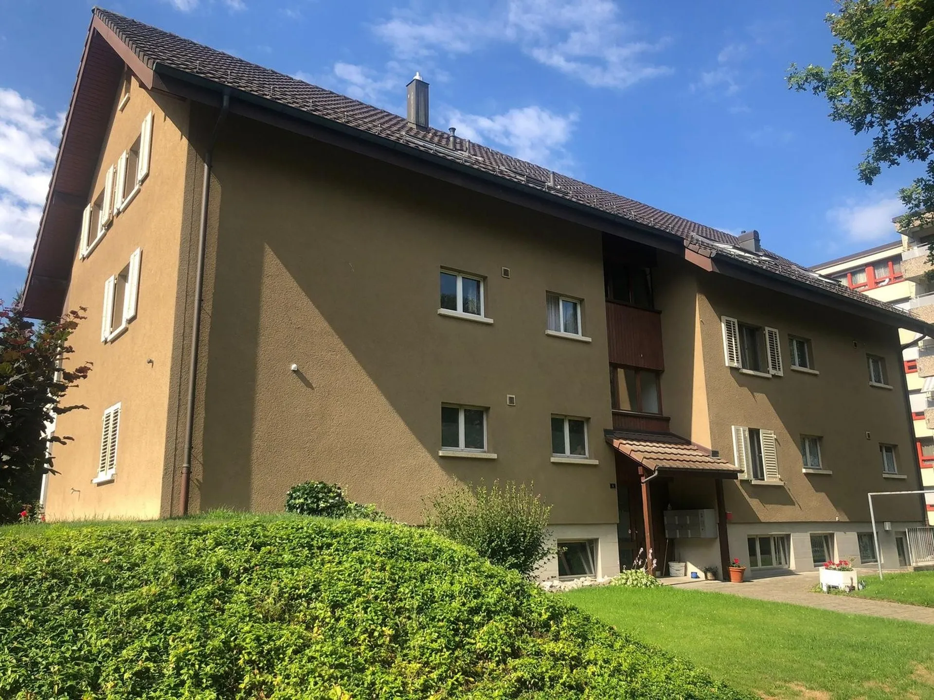 Immagine 7