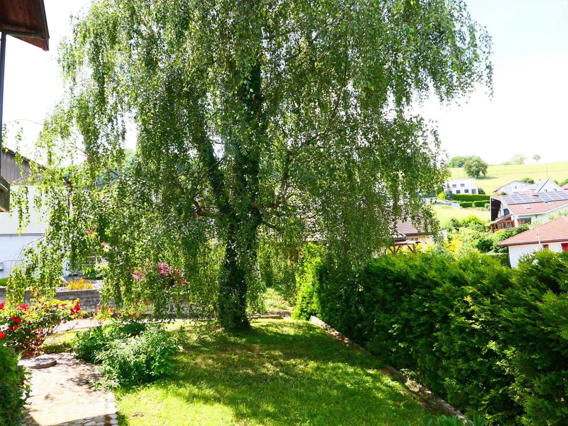 Bild 19