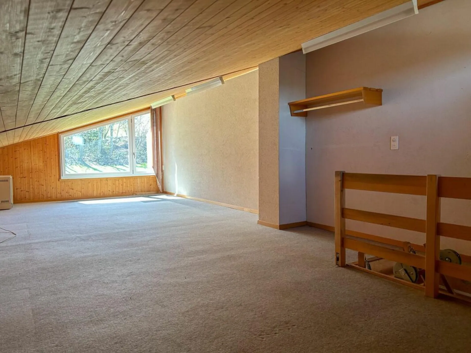 Immagine 6