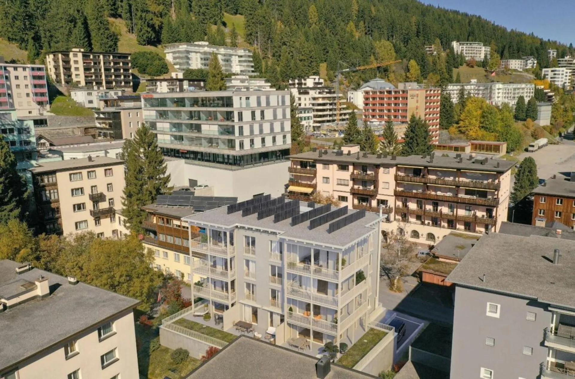 Image 6