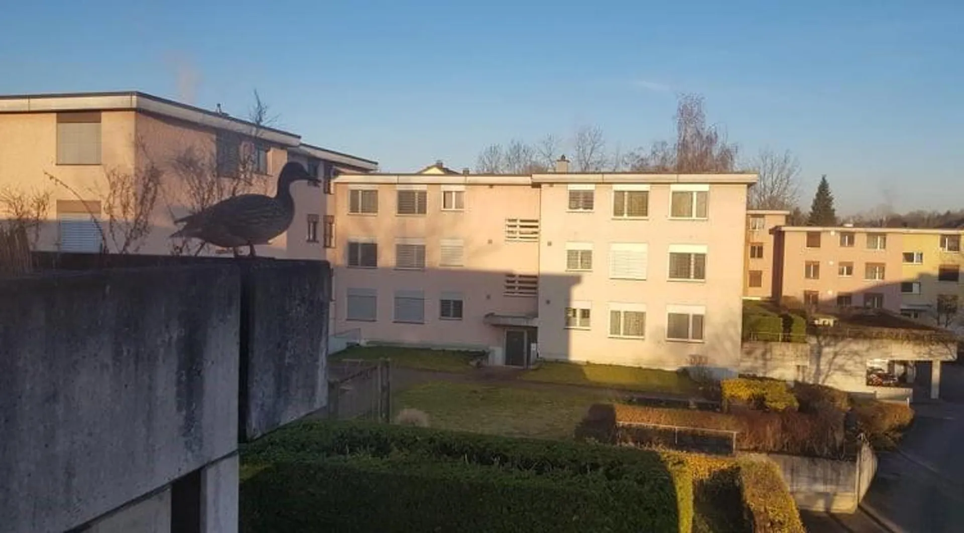 Wohnen in Dübendorf