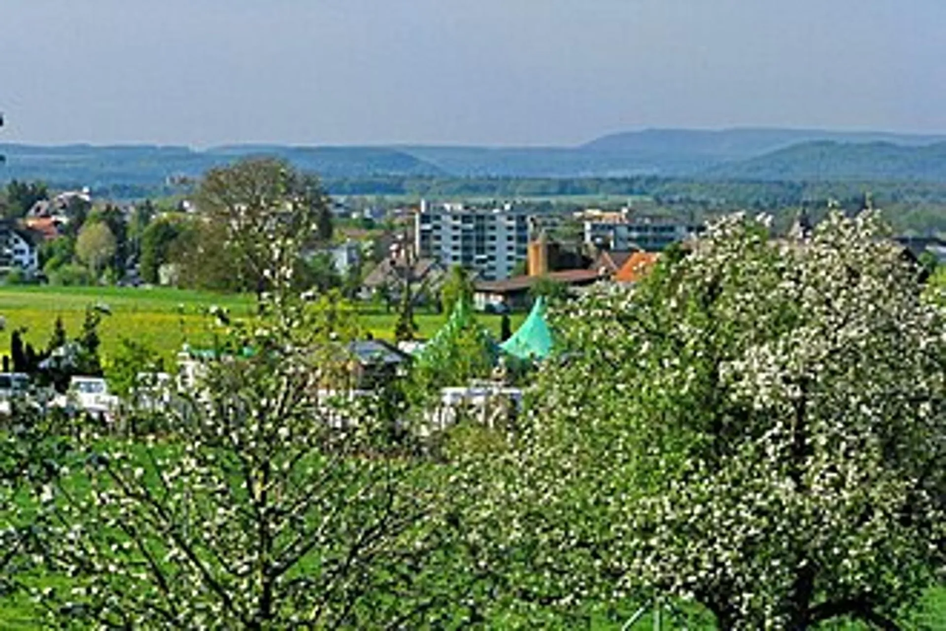 Helle 2-Zimmer-Wohnung mit Balkon in ruhiger Lage – Rümlang
