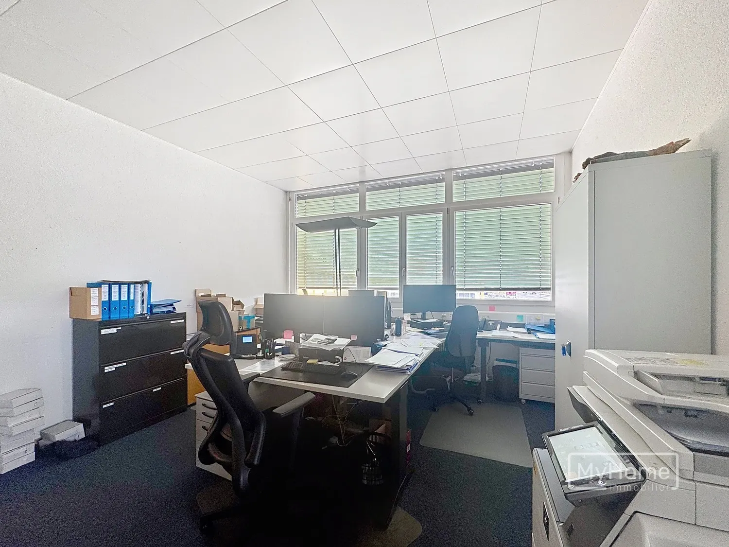 Image 3