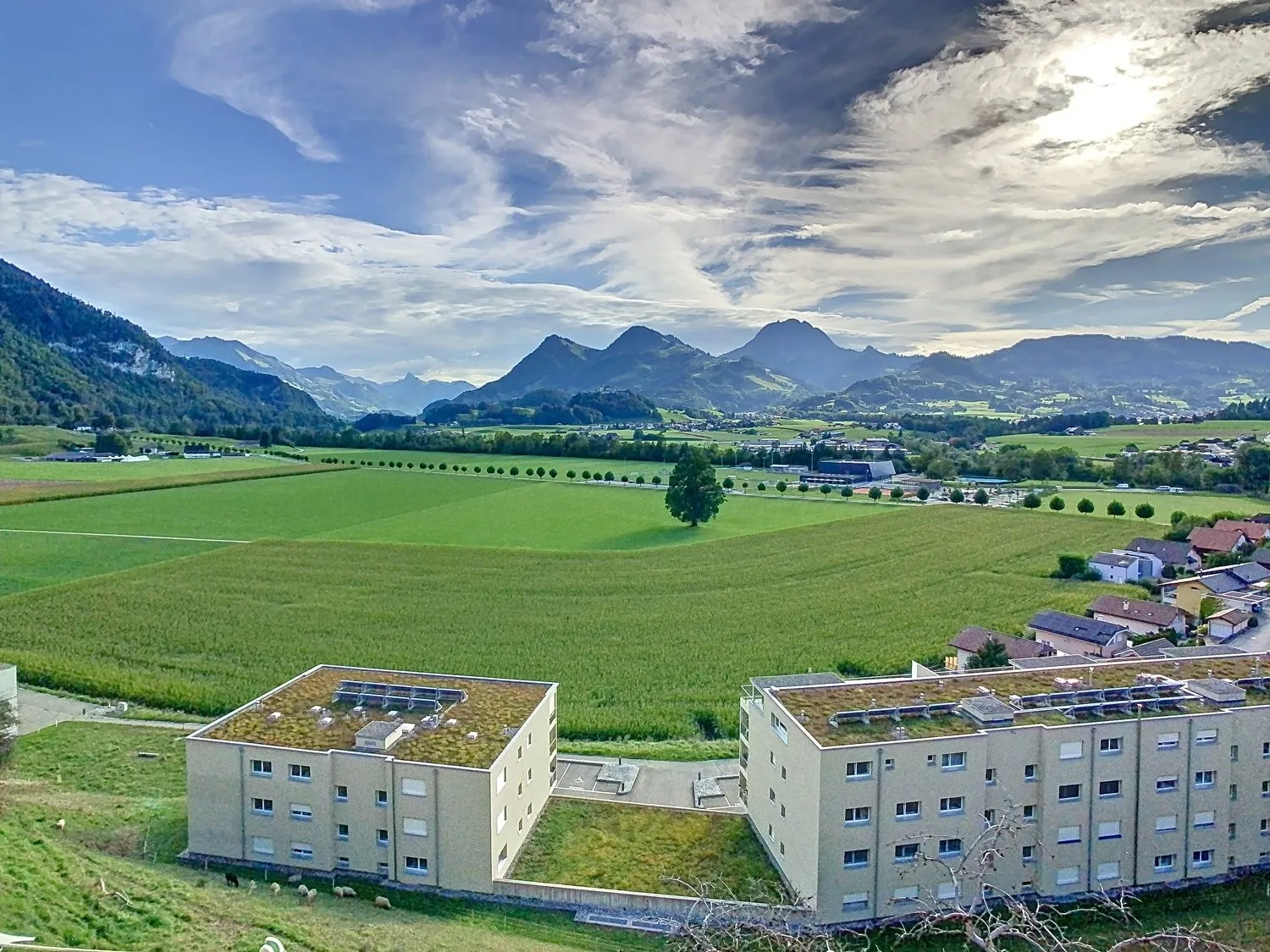 LOCAL COMMERCIAL AVEC VITRINE D'ENV. 65 M²