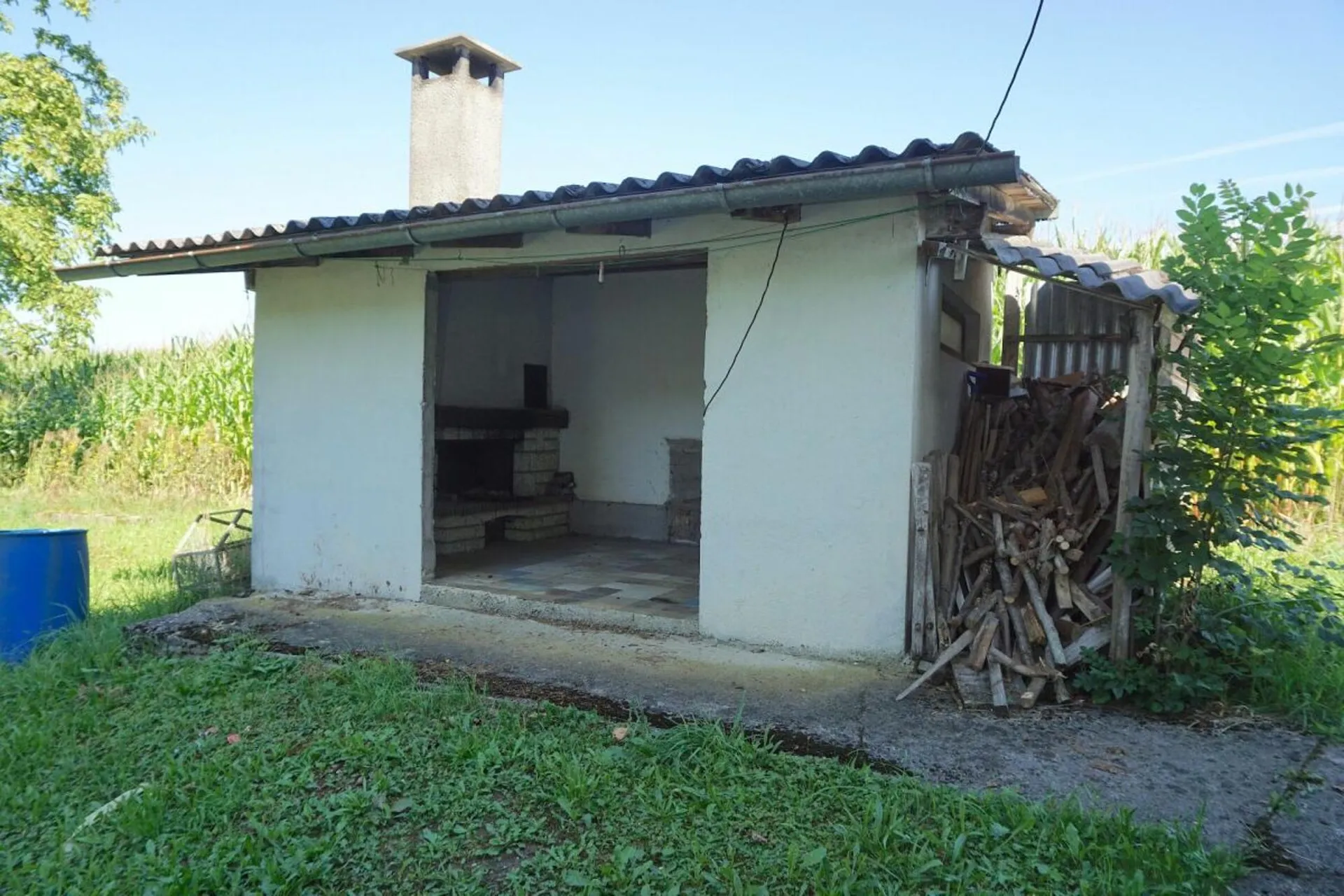 Image 6