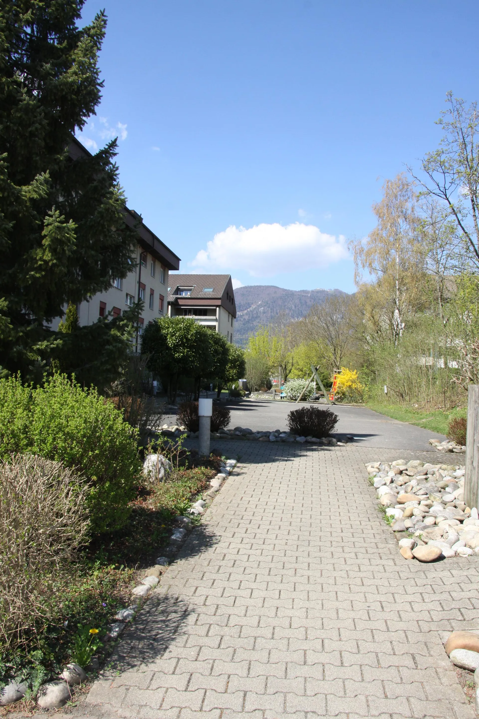 Image 12