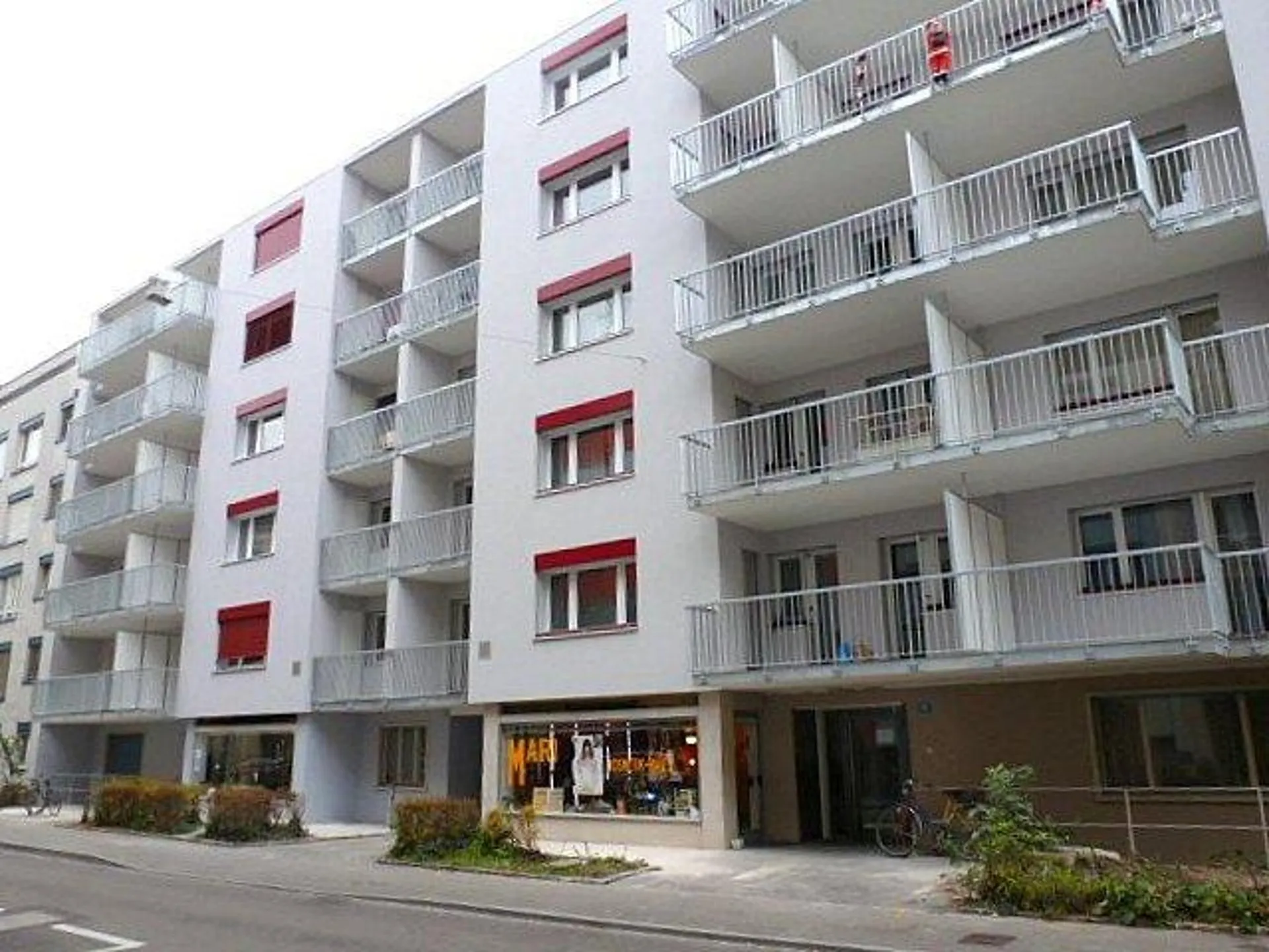 Image 8