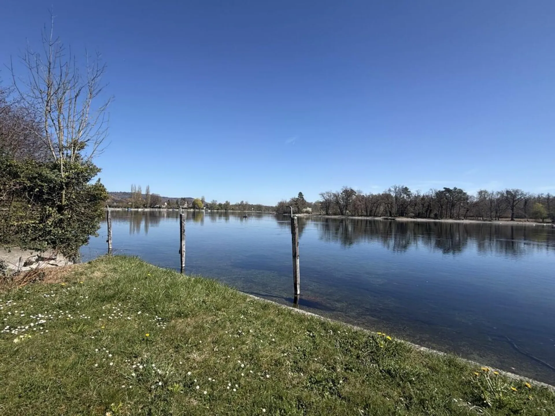 Rheinparadies in Büsingen am Hochrhein: Leben am Rheinufer