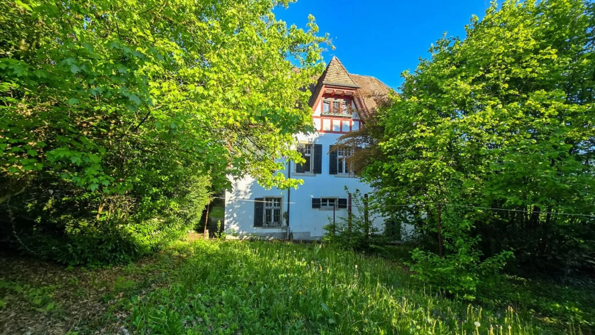 Image 12