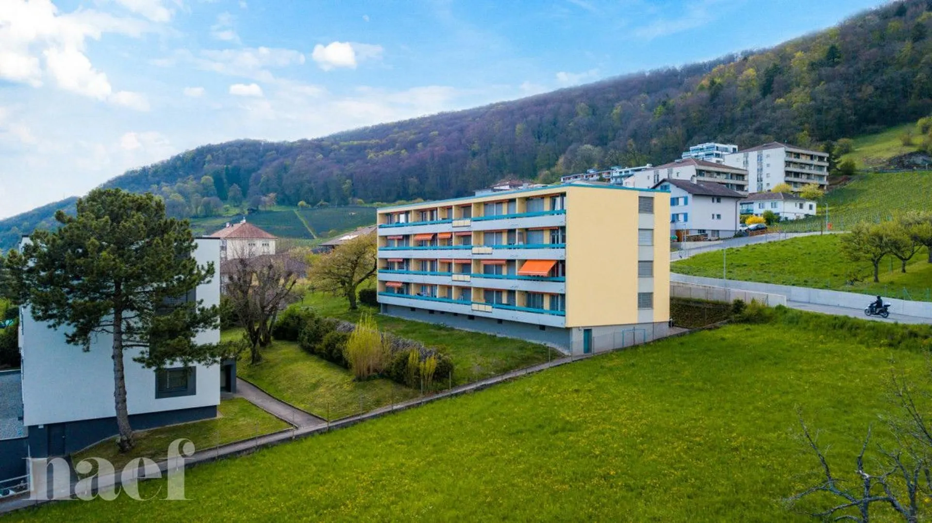 Bild 4
