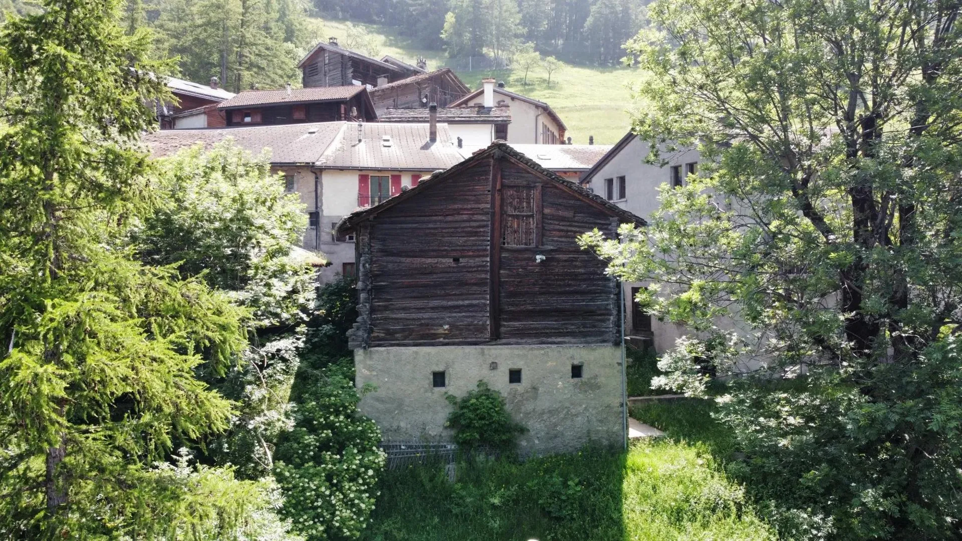 Image 8