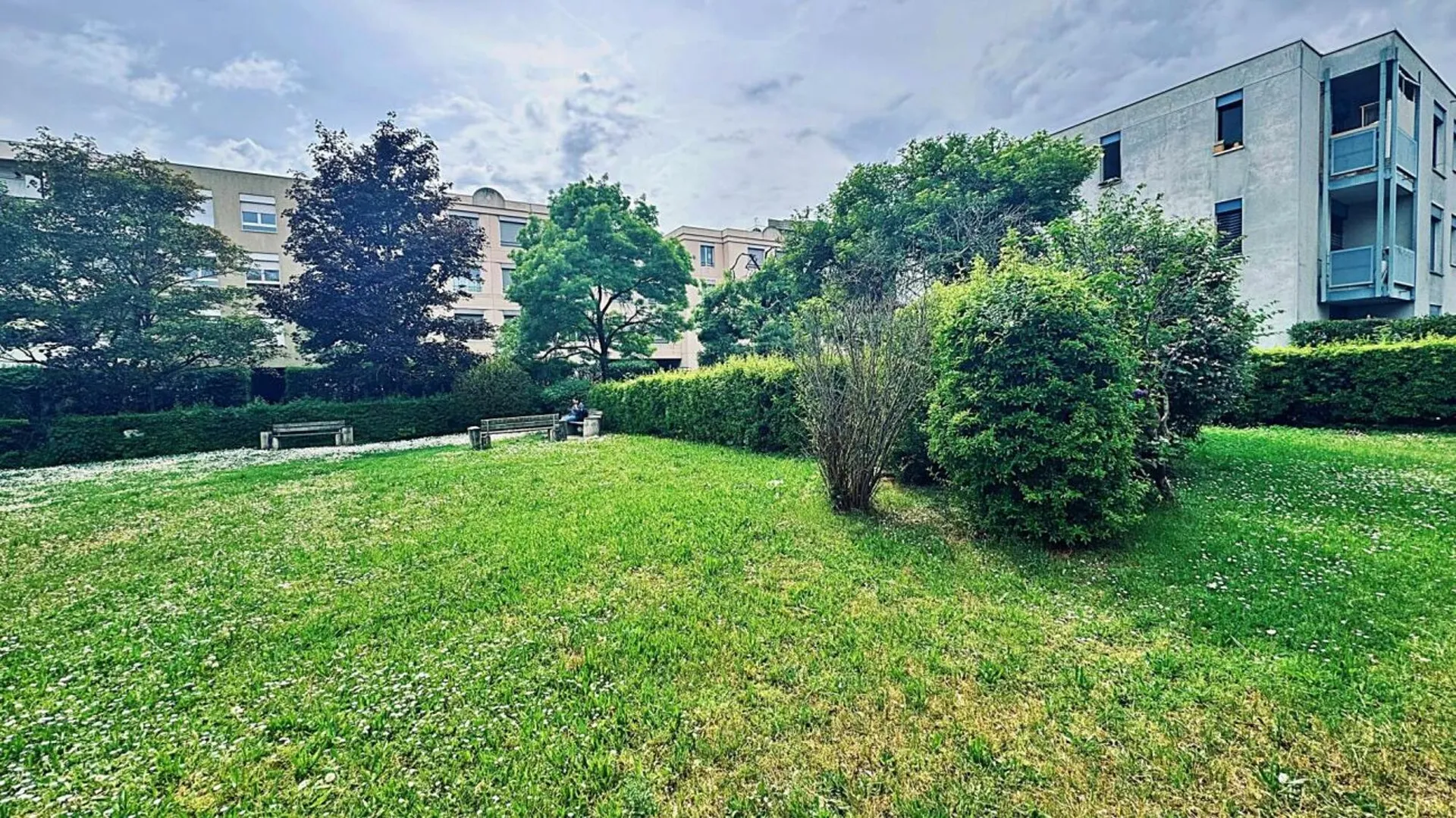 Image 19