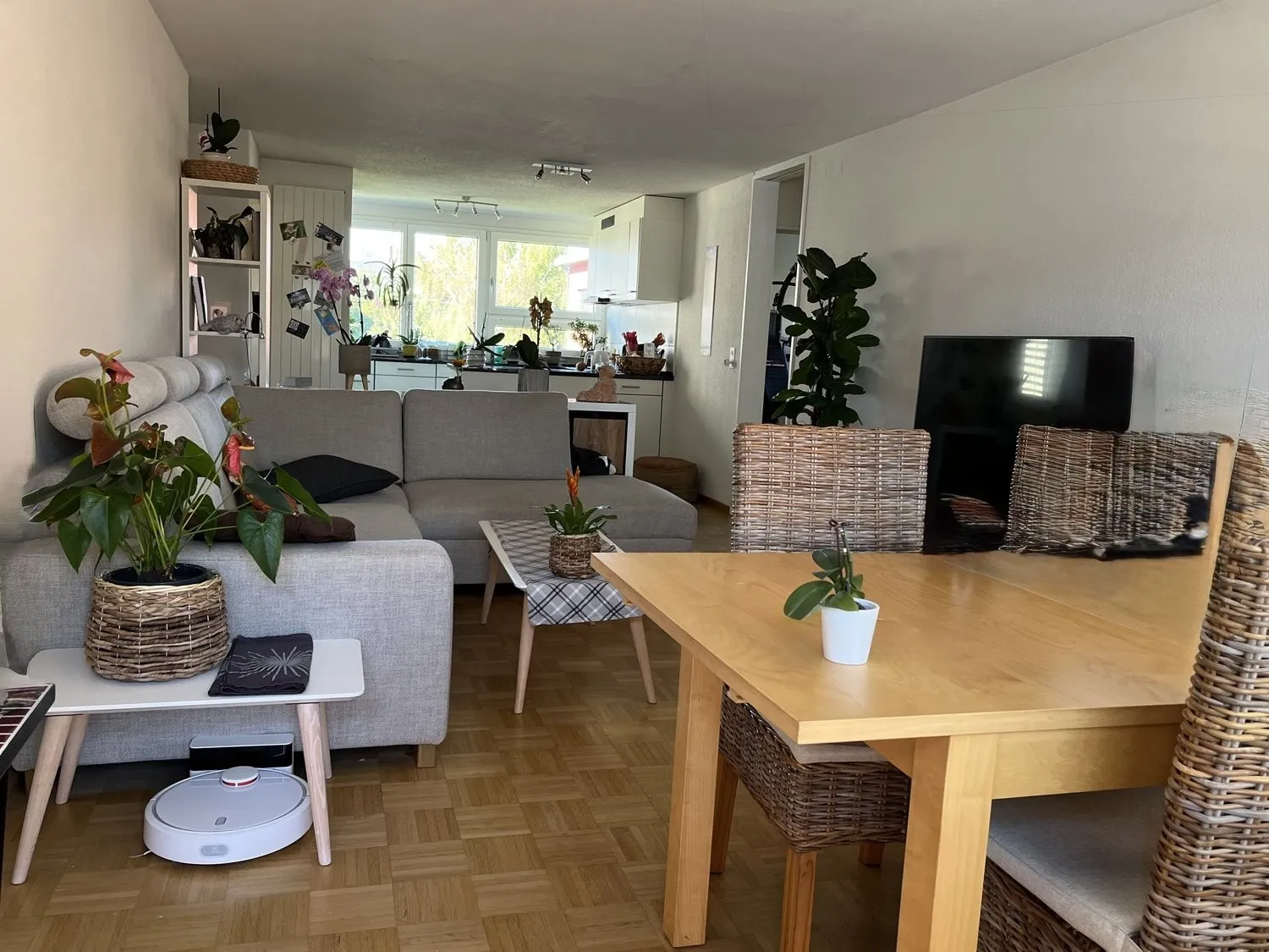 3½ ZI-WOHNUNG IN EFFRETIKON (ZH), MÖBLIERT, TEMPORÄR