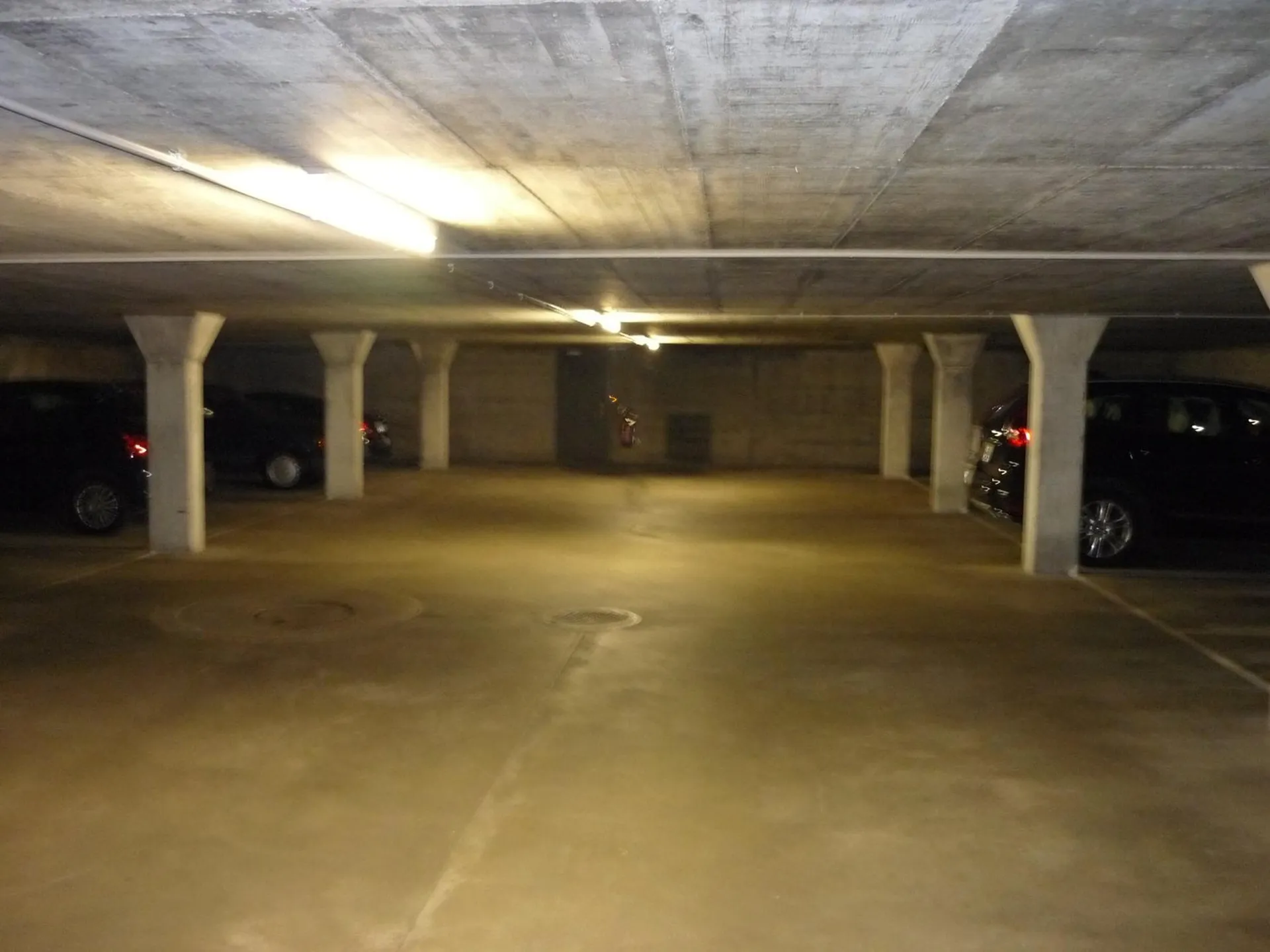 Image 15