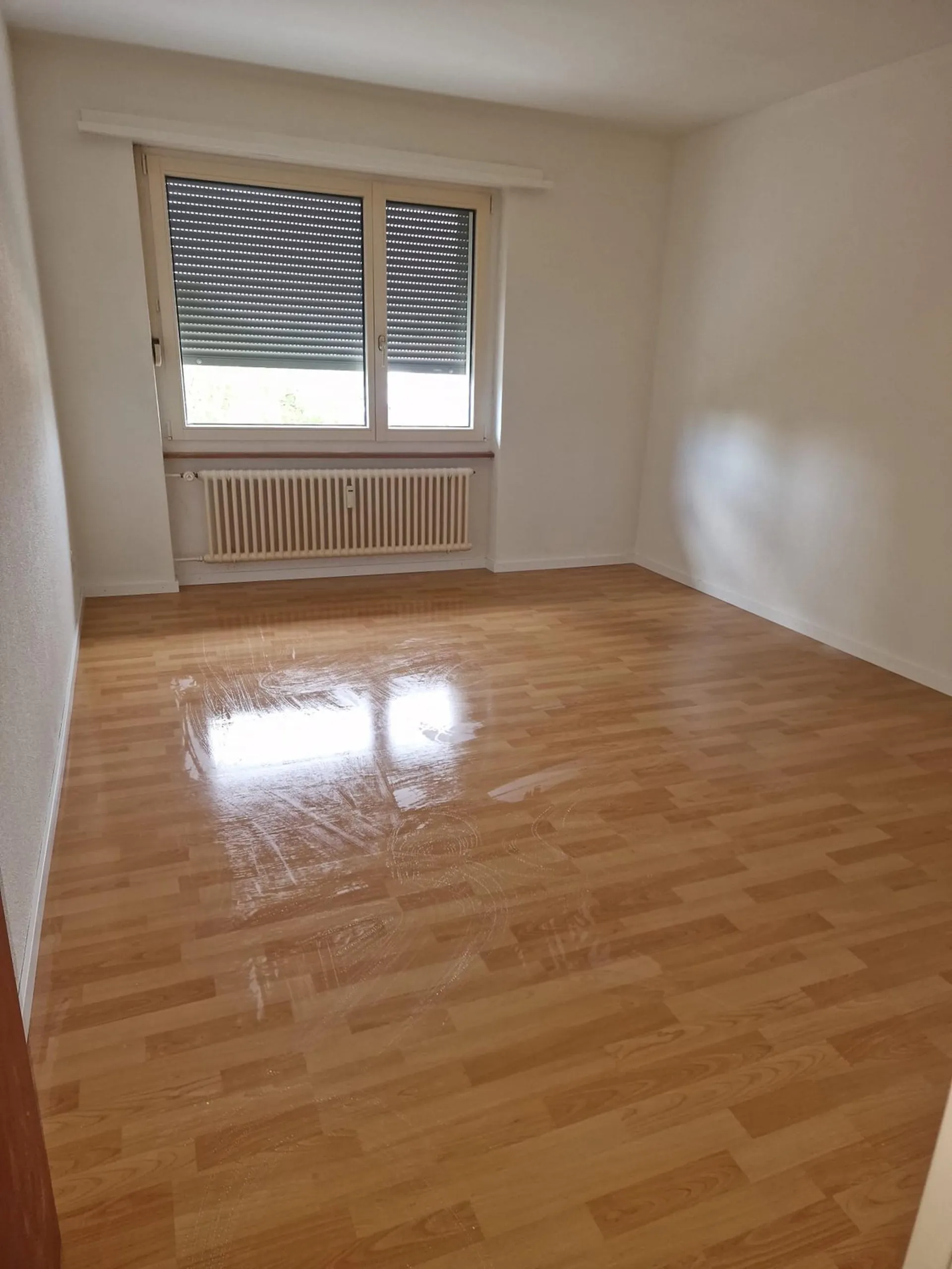 Erstvermietung nach Renovation!