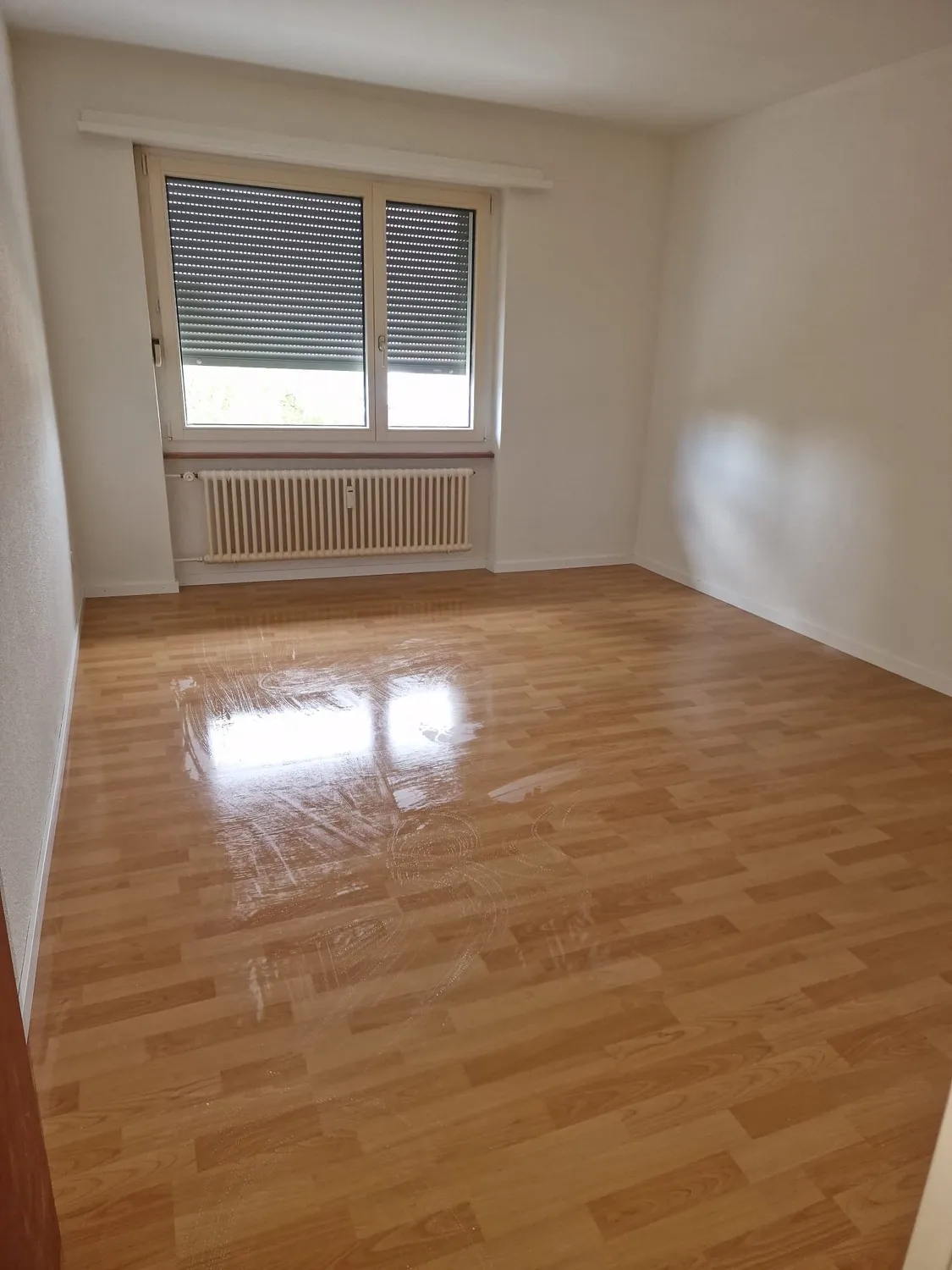 Erstvermietung nach Renovation!