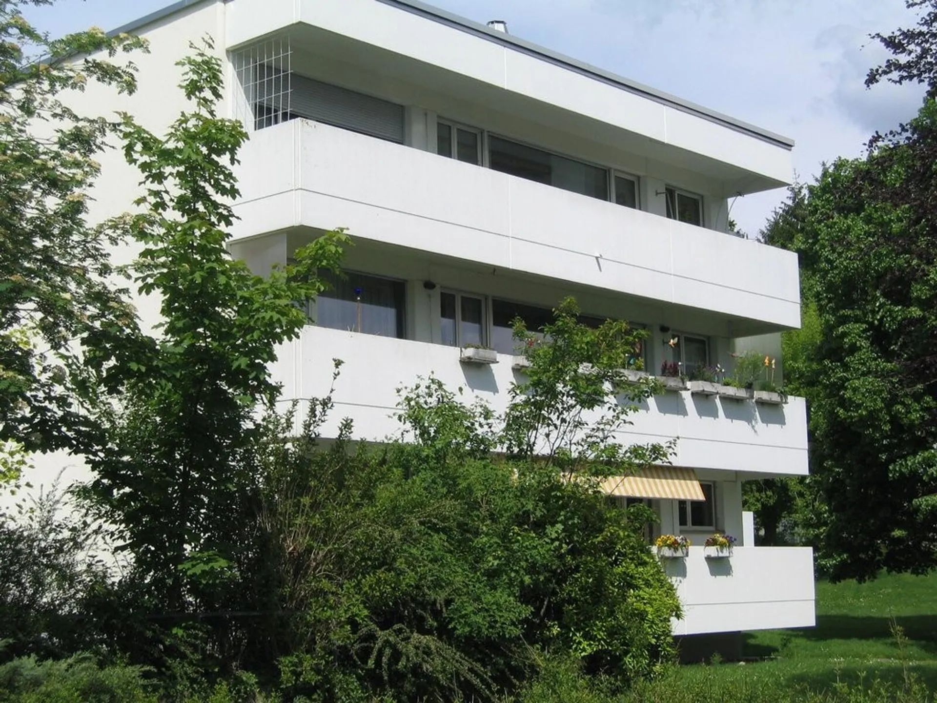 Image 6